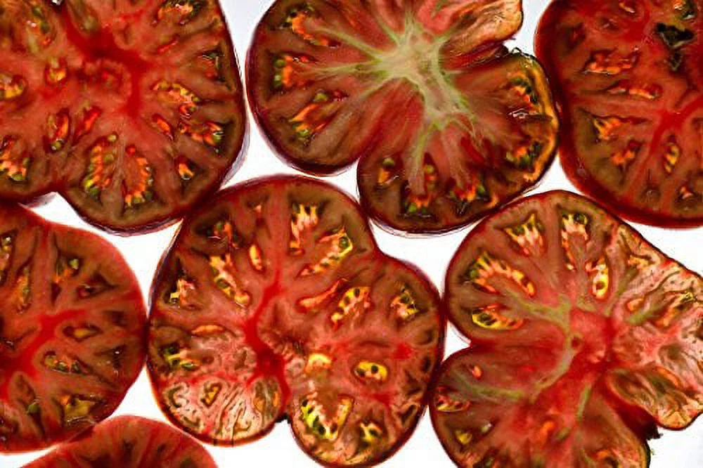 Tomato Black Sea man Great Heirloom Garden Vegetable By Seed Kingdom BULK 2,000 Seeds