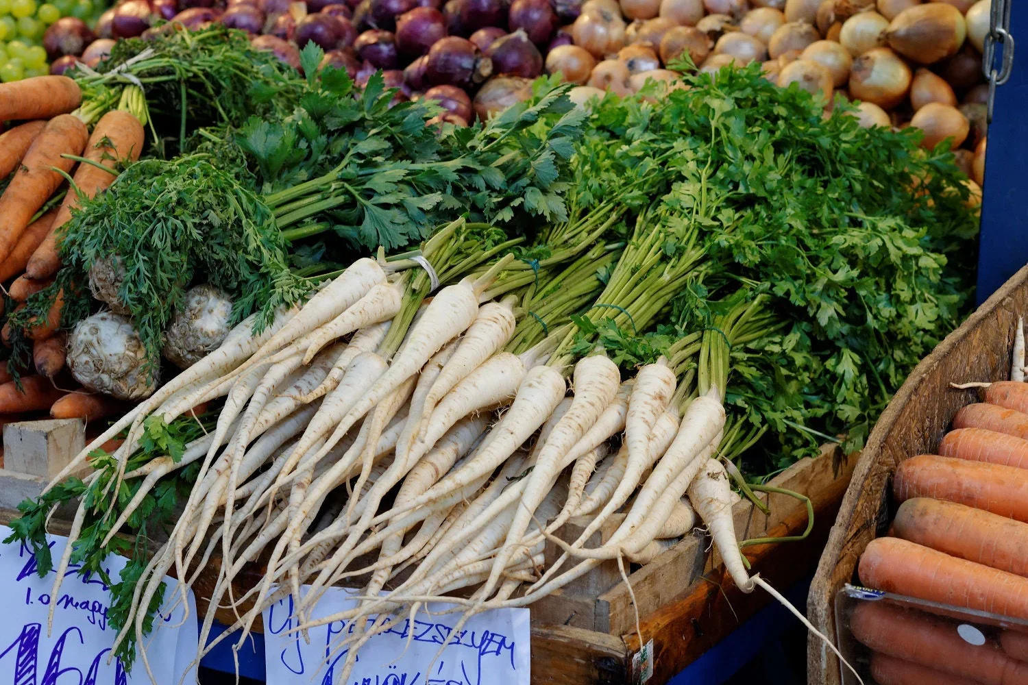 1000 HAMBURG ROOTED PARSLEY Petroselinum Crispum Tuberosum Root Vegetable Seeds