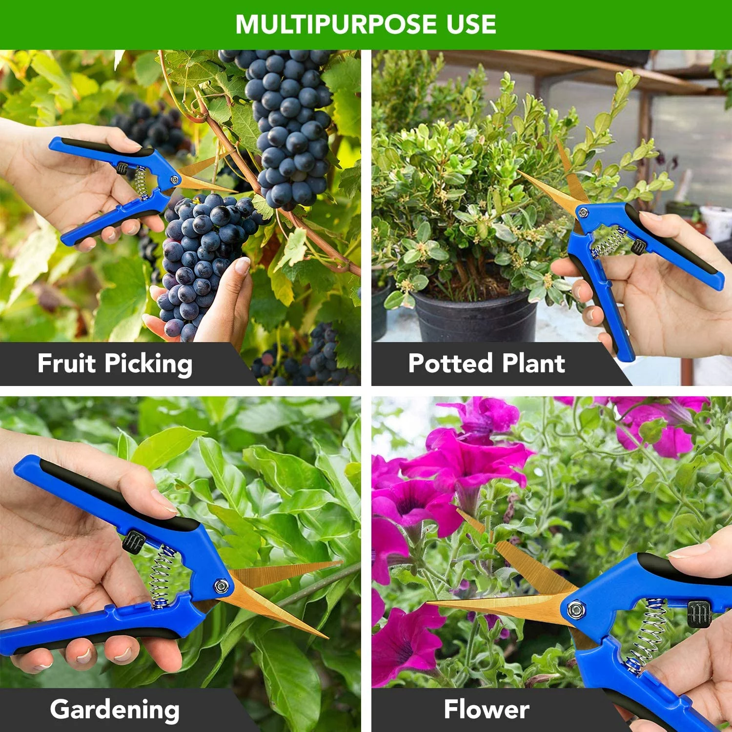 iPower 3-Pack 6.5 inch Gardening Scissors Hand Pruner Pruning Shear Curved Precision Blades