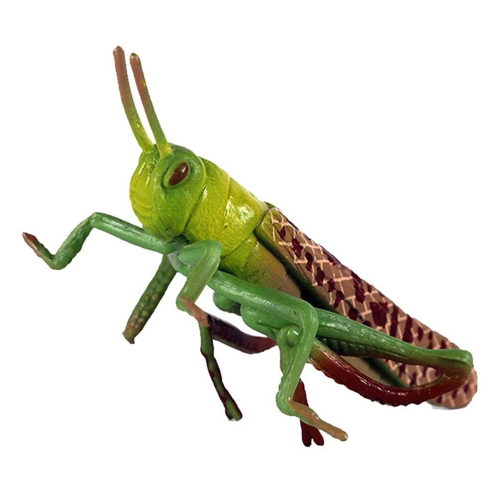 Gongxipen 1pc Simulation Locust Model Plastic Grasshopper Decor Insect Plastic Toy