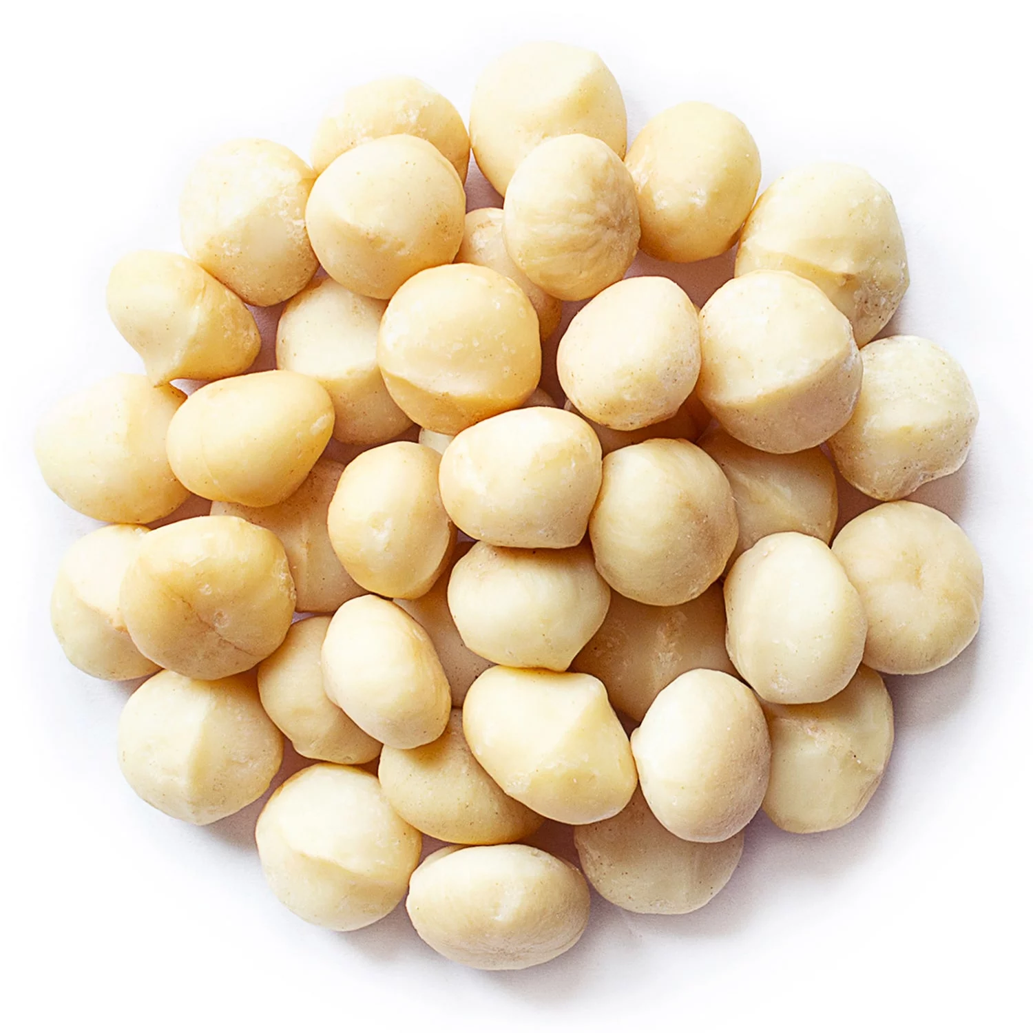 Organic Whole Macadamia Nuts, 1 Pound — Non-GMO, Raw, Kosher, Vegan — by Food to Live