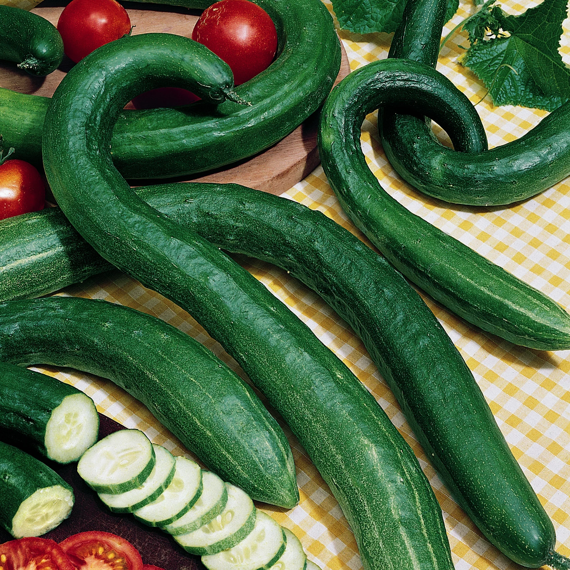 Early Spring Bush Burpless F1 Hybrid Cucumber Seeds - 1 Lb ~15200 Seeds - Non-GMO, F1 Hybrid - Vegetable Garden - Cucumis sativus