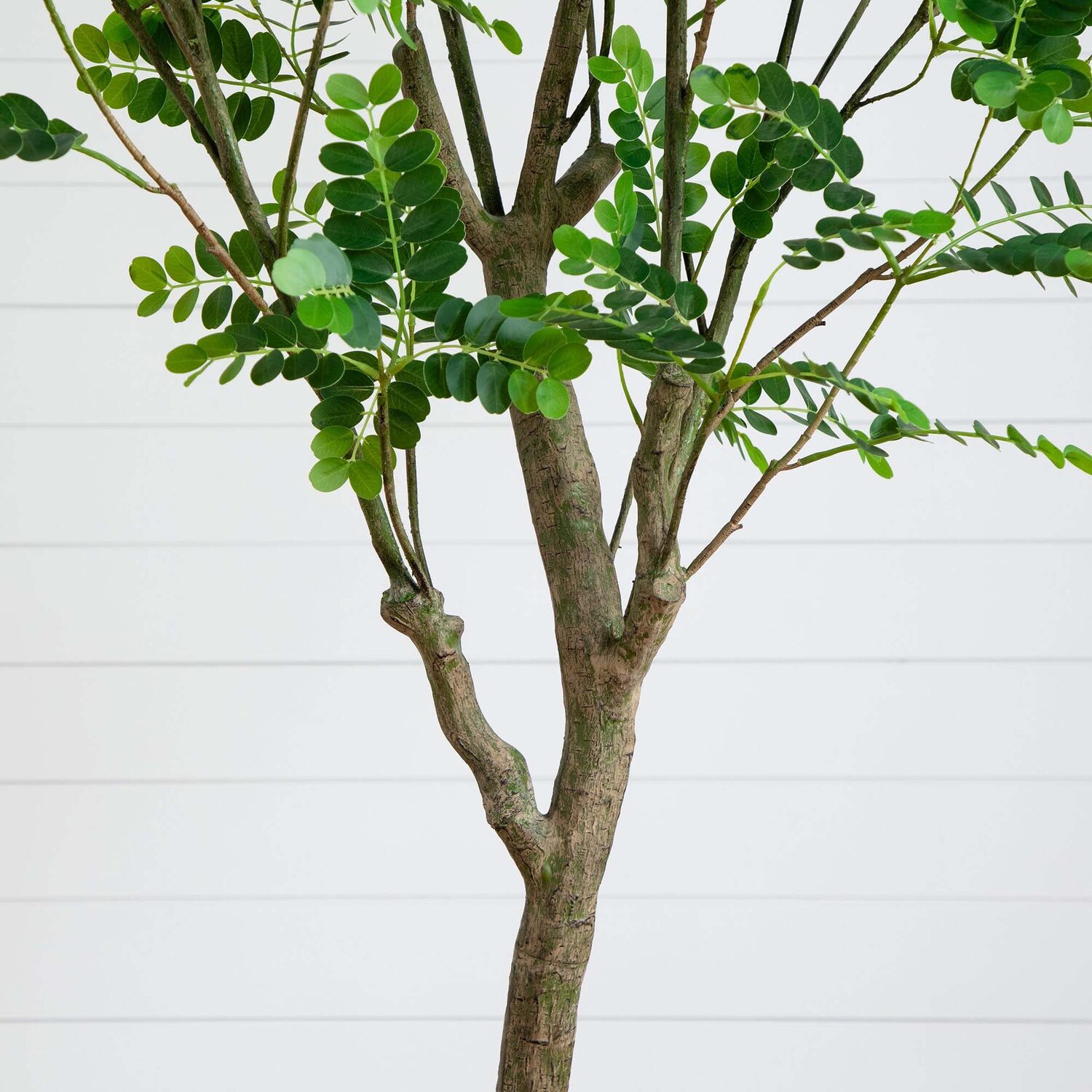 Nearly Natural T4650 7ft. Artificial Greco Citrus Tree with Real Touch Leaves