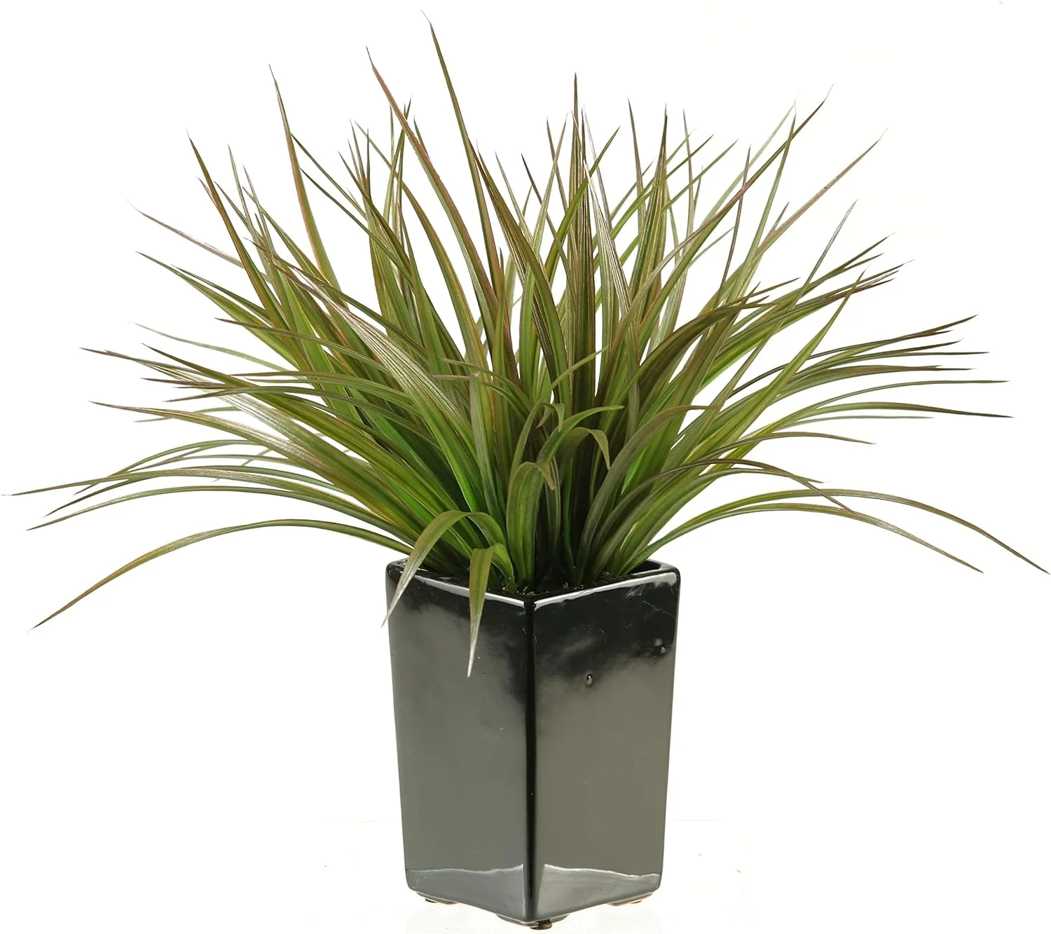 Silks Square Black Ceramic Planter with Grass