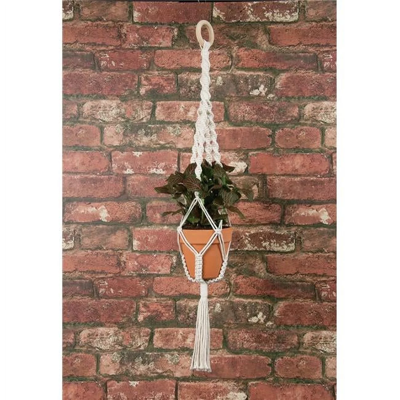 Solid Oak Make-ramé Macramé Plant Hanger Kit - Twists