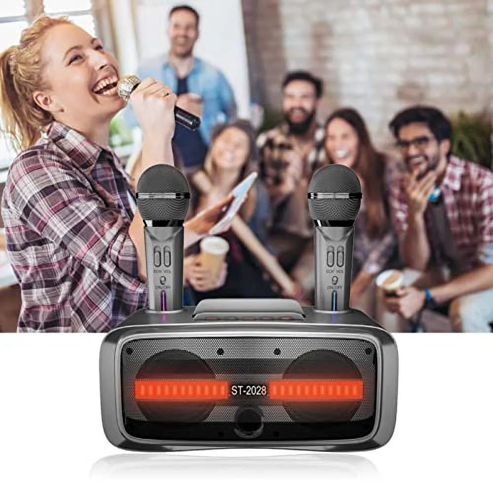 ST2028 Portable Karaoke Speaker System,Bluetooth Karaoke Machine with 2 Mic,Support USB AUX Memory Card Input,for Karaoke Wedding Party Teaching Silver Black