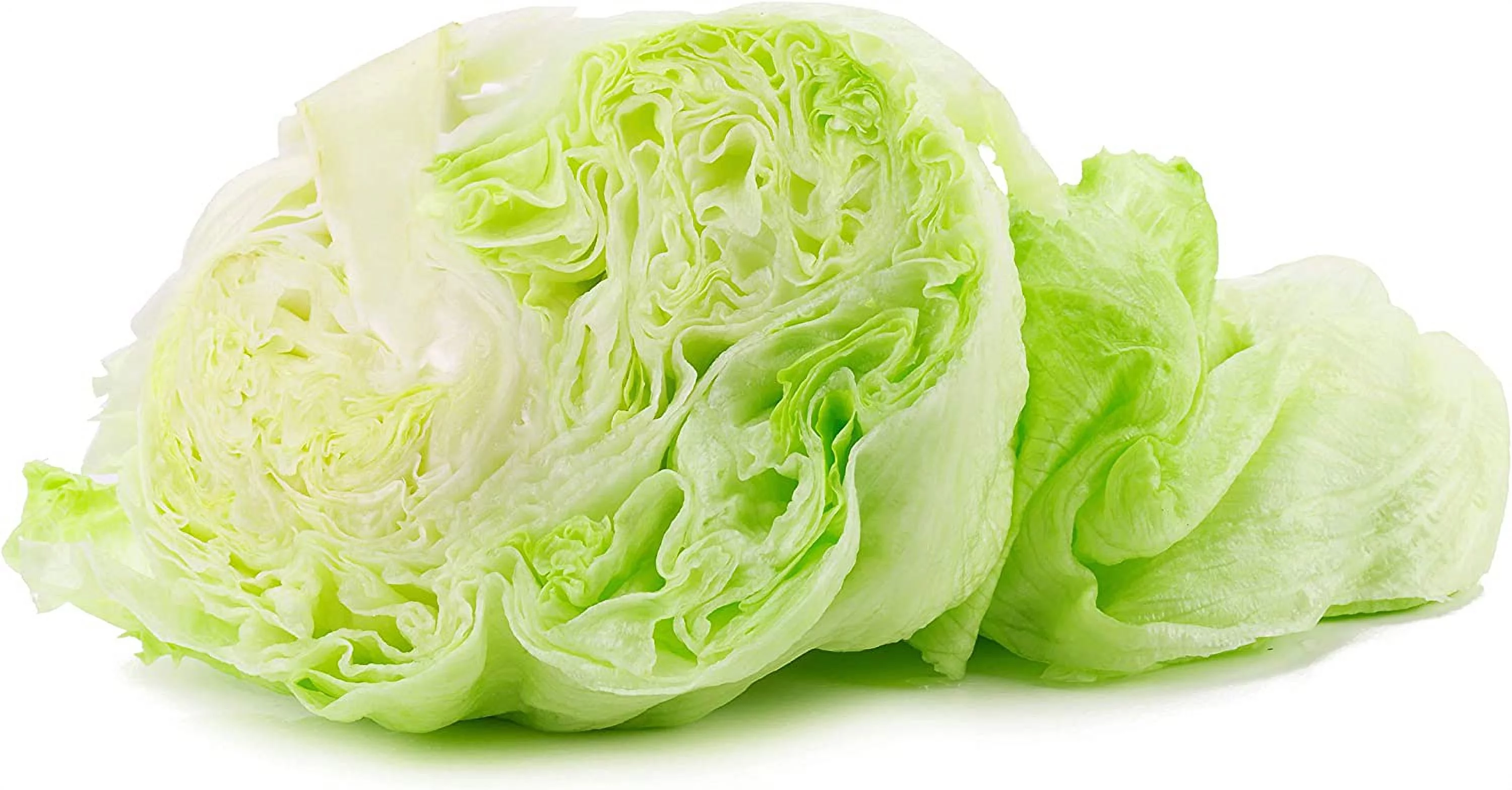 Hanson Improved Crisphead Lettuce Seeds, 1000 Heirloom Seeds Per Packet, Non GMO Seeds