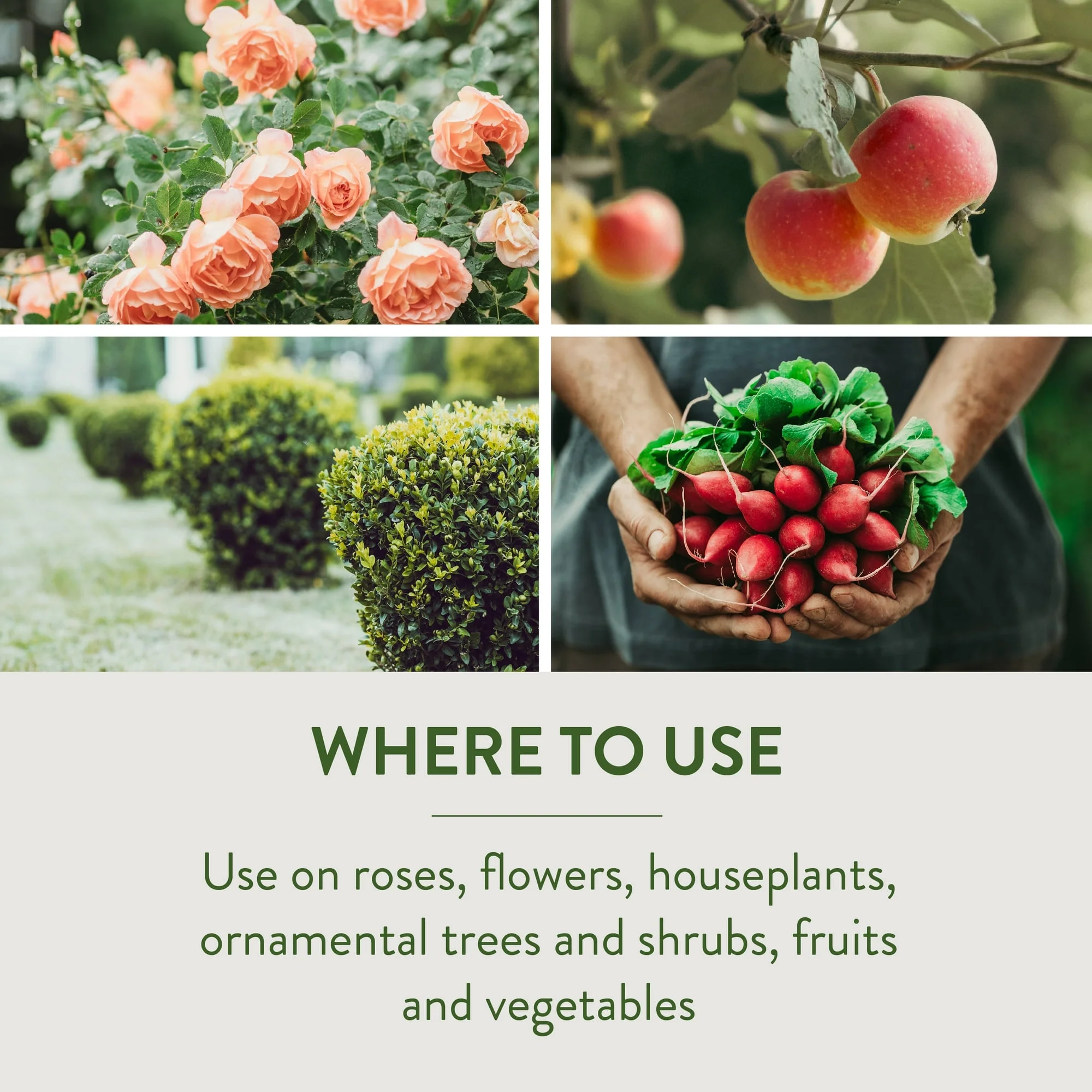 Garden Safe Fungicide 3 Concentrater, 28 oz, Controls Fungus & Insects ( 2 Packs )