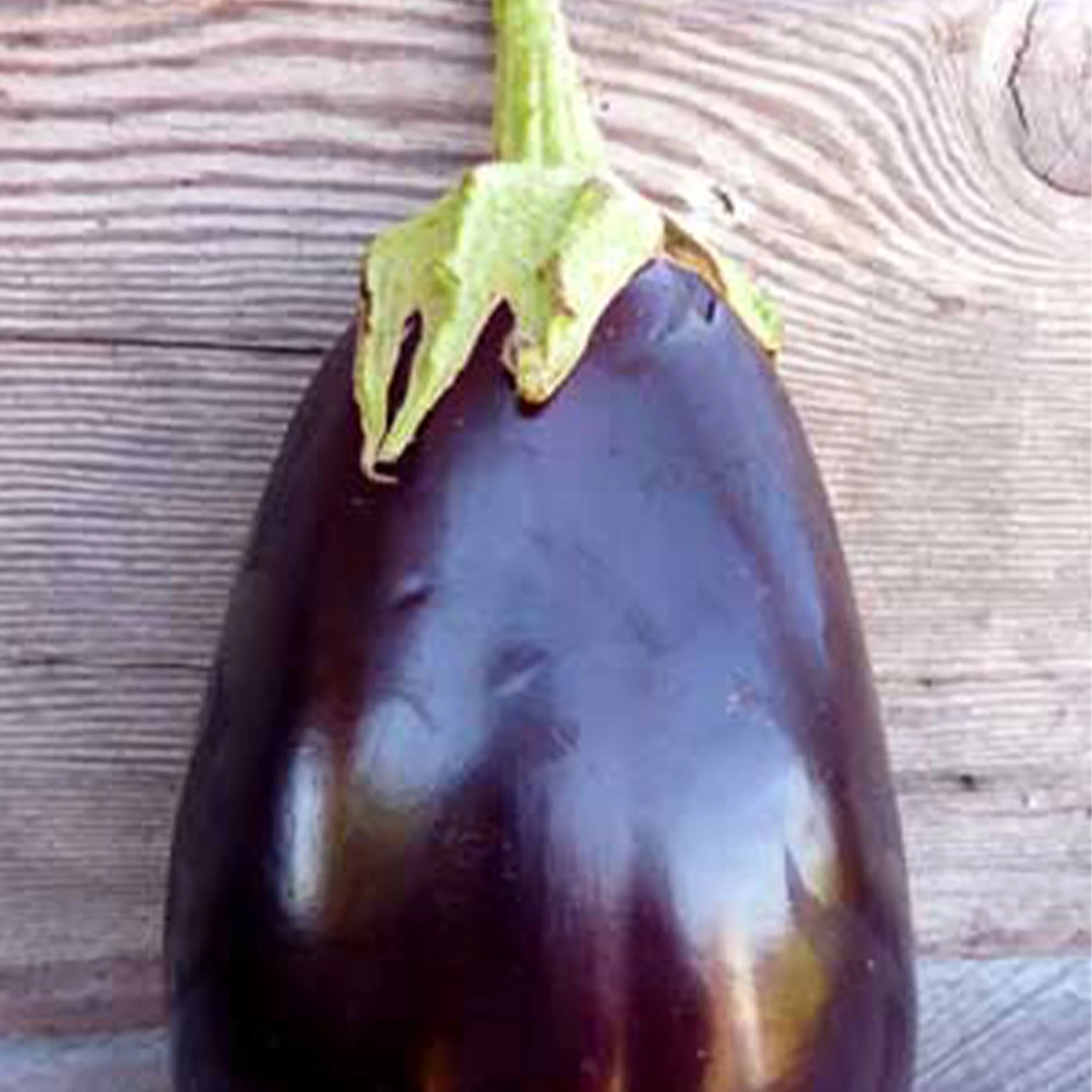 Organic Black Beauty Eggplant 250 mg ~55 Seeds - Non-GMO, Open Pollinated, Heirloom, Vegetable Gardening Seeds