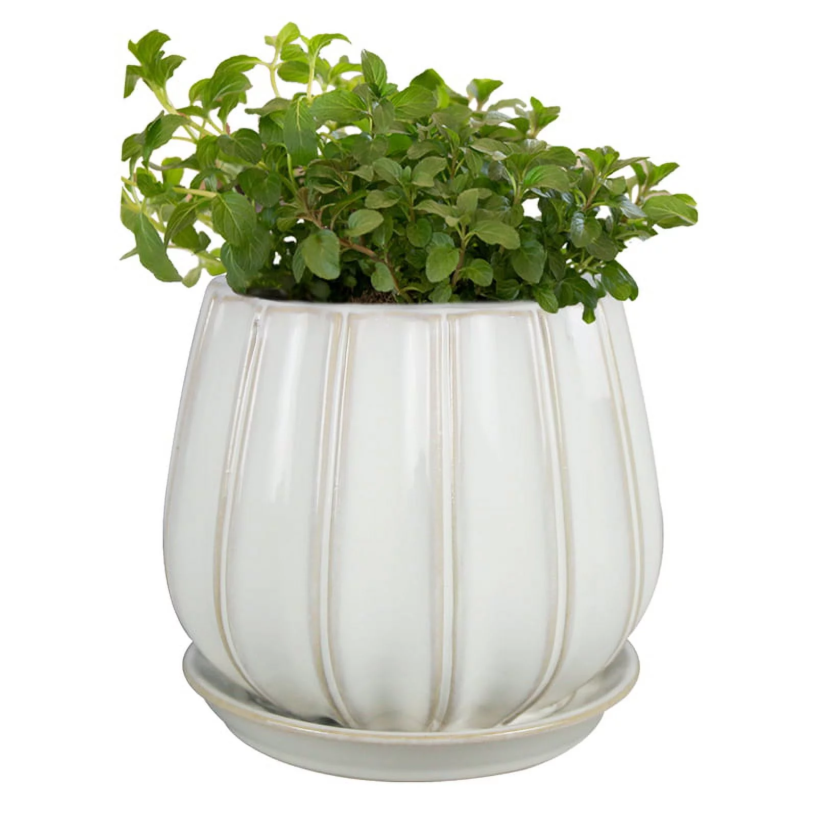 Trendspot Contour 6 in. Dia. Ceramic Planter White