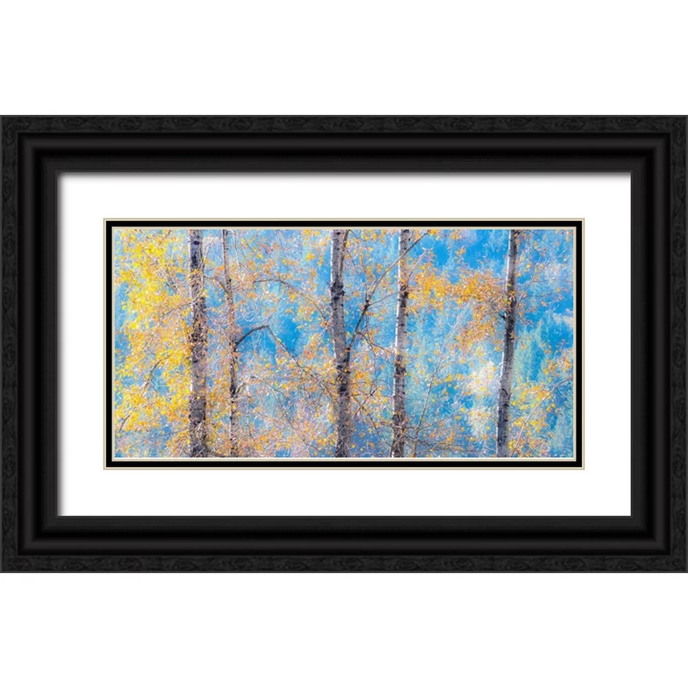 Gulin, Sylvia 32x18 Black Ornate Wood Framed with Double Matting Museum Art Print Titled - Washington State-Preston with Cottonwood trees springtime leafing out