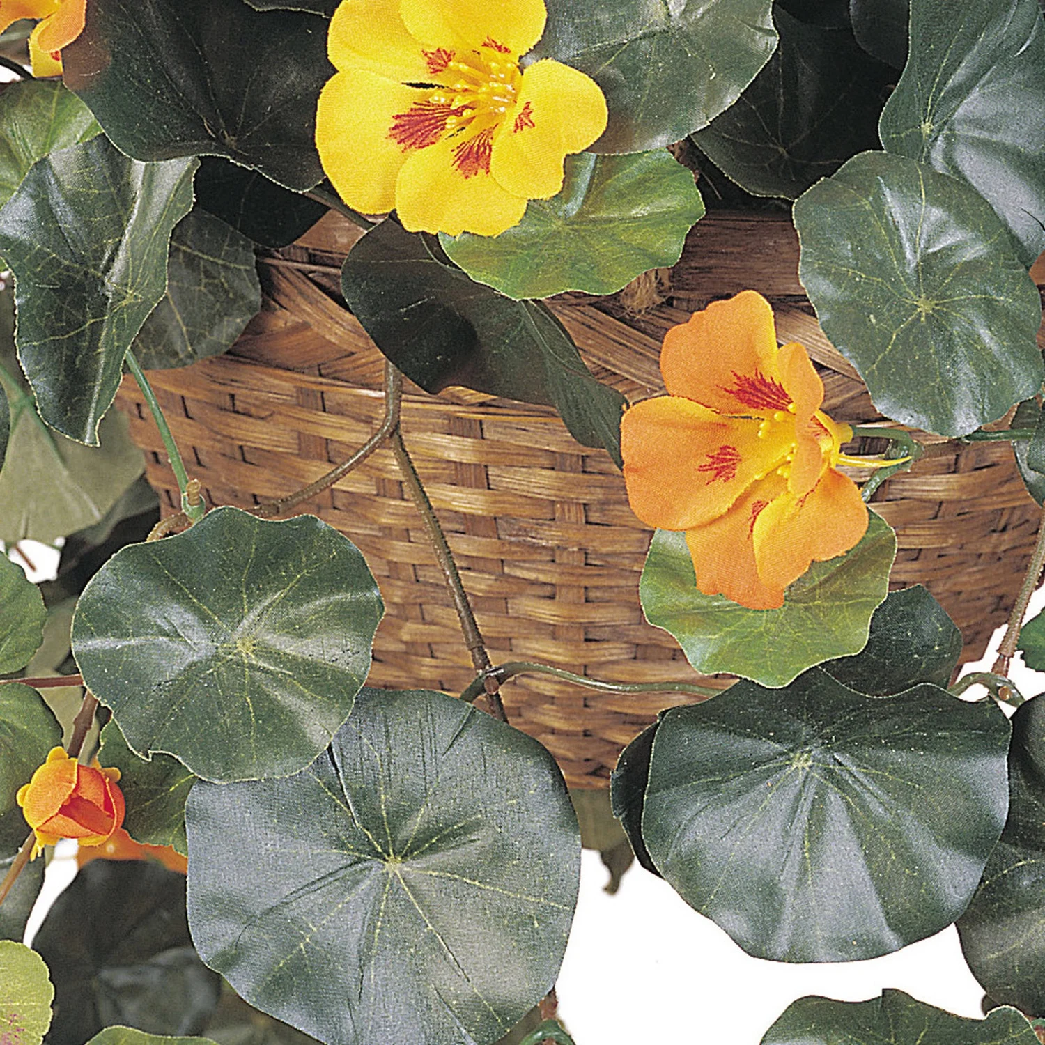 HomeStock Mountain Majesty Silk Hanging Basket