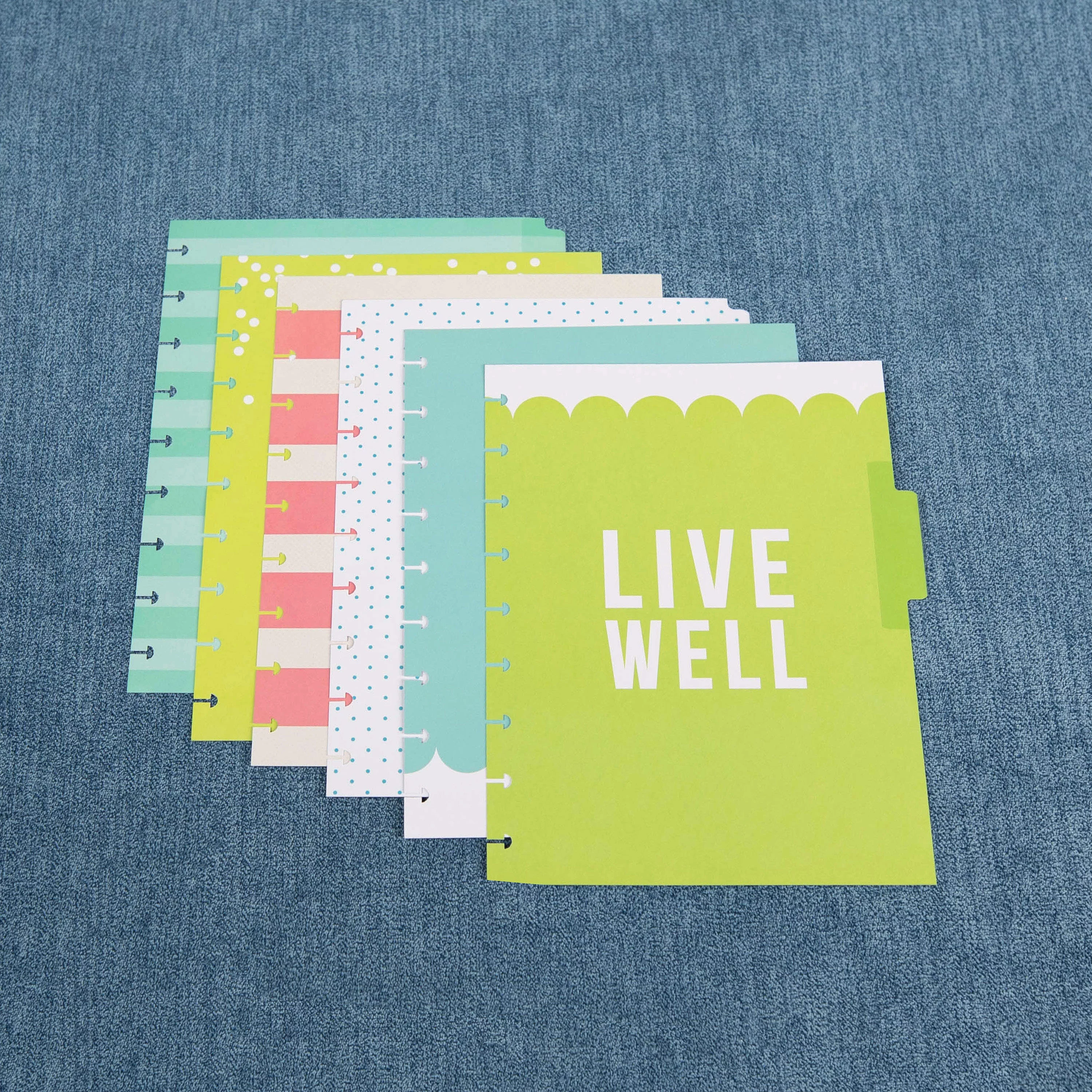 The Happy Planner - CLASSIC Budget Extension Pack