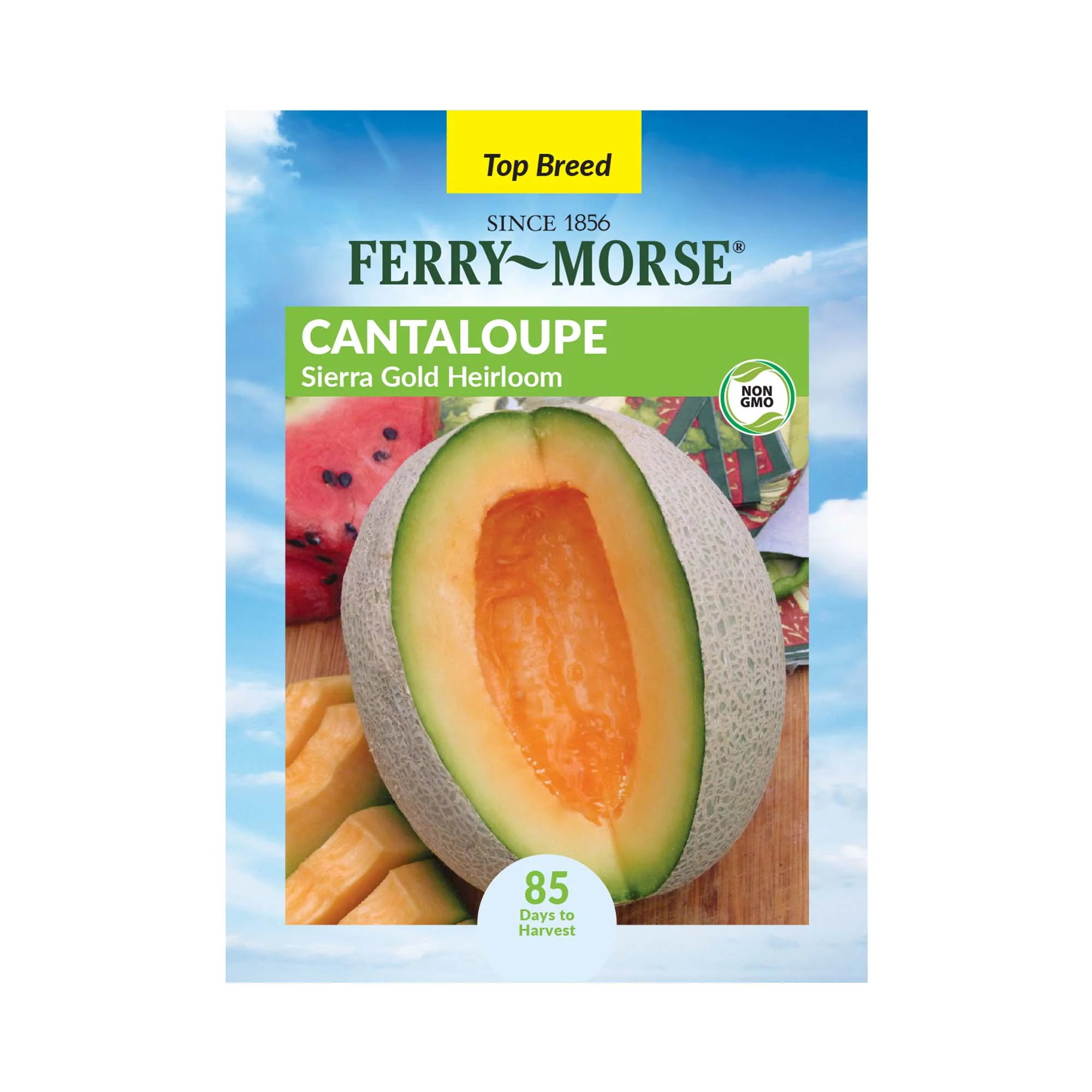 Ferry-Morse Heirloom 1800MG Cantaloupe Sierra Gold Fruit Plant Seeds Full Sun