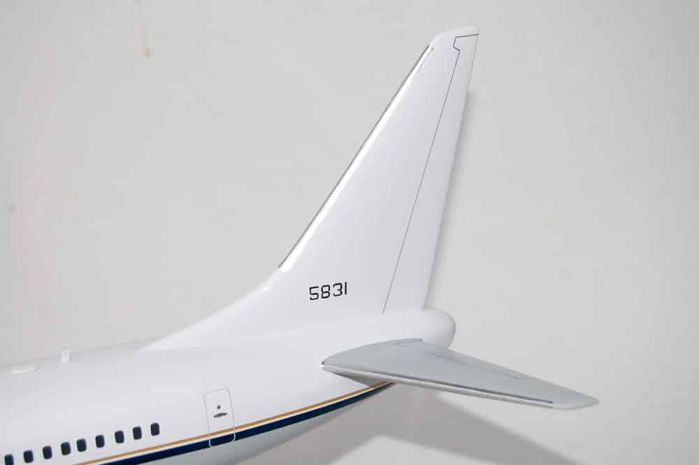 VR-59 Lone Star Express C-40a Clipper Model, 1/74th  (18