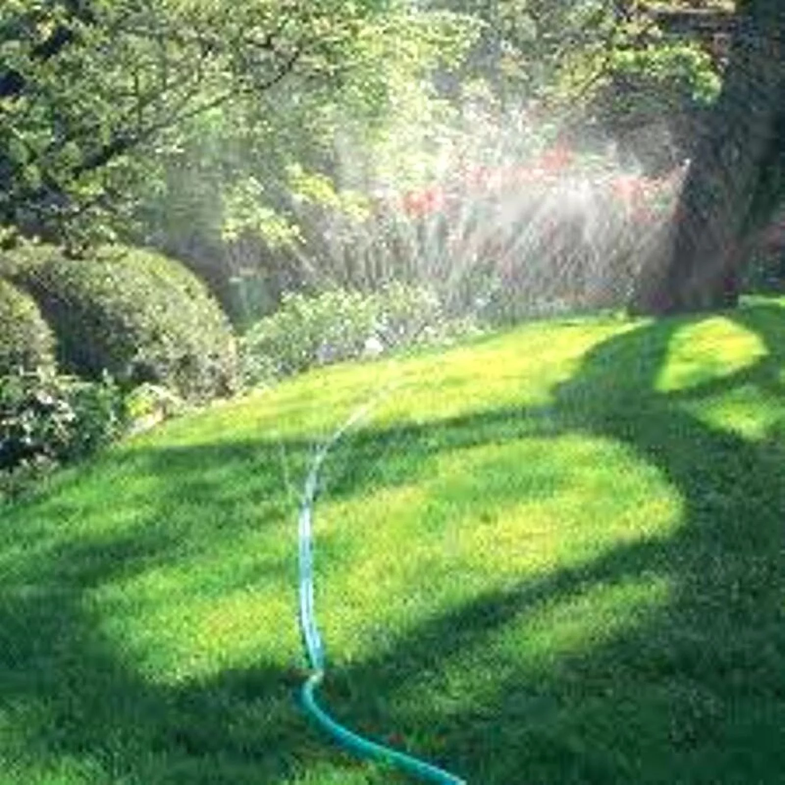 Sprinkler Hose