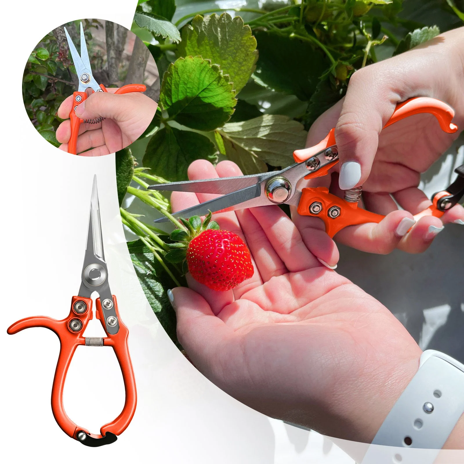 Garden Pruning Shears Precision Manual Trimmer Scissors Bonsai Cutter With Sharp Straight Tapered Tip Ergonomic Handle Modern Gardening Tool Teacher Toolbox Saw Set Dcs356 D8 Smart Diagnosis System