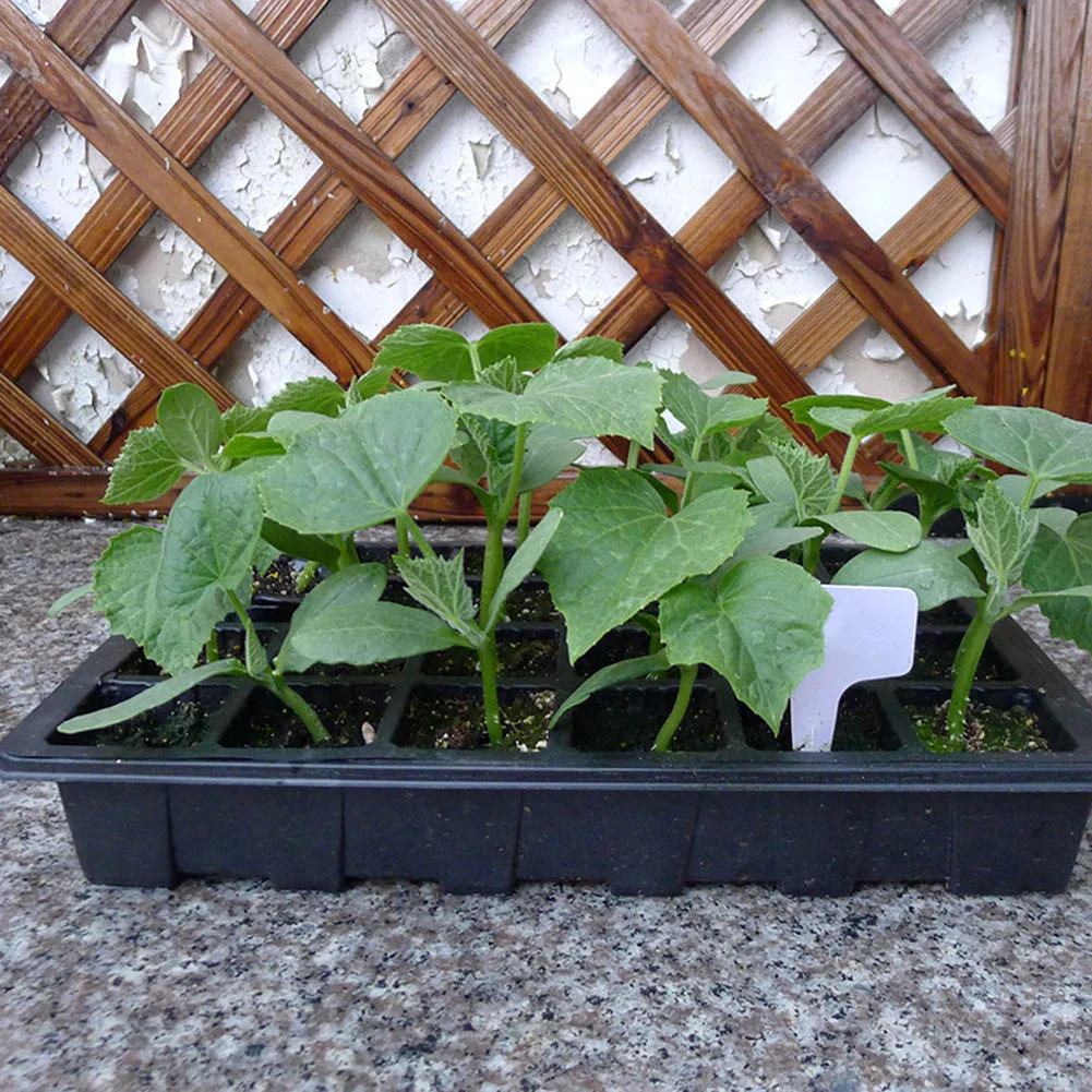 Planting Seed Tray Kit 3 Pack 24 Cells Seedling Nursery Tray Plastic Flower Garden Nursery Pot Planting Seed Tray Kit With Lid Garden Grow Box