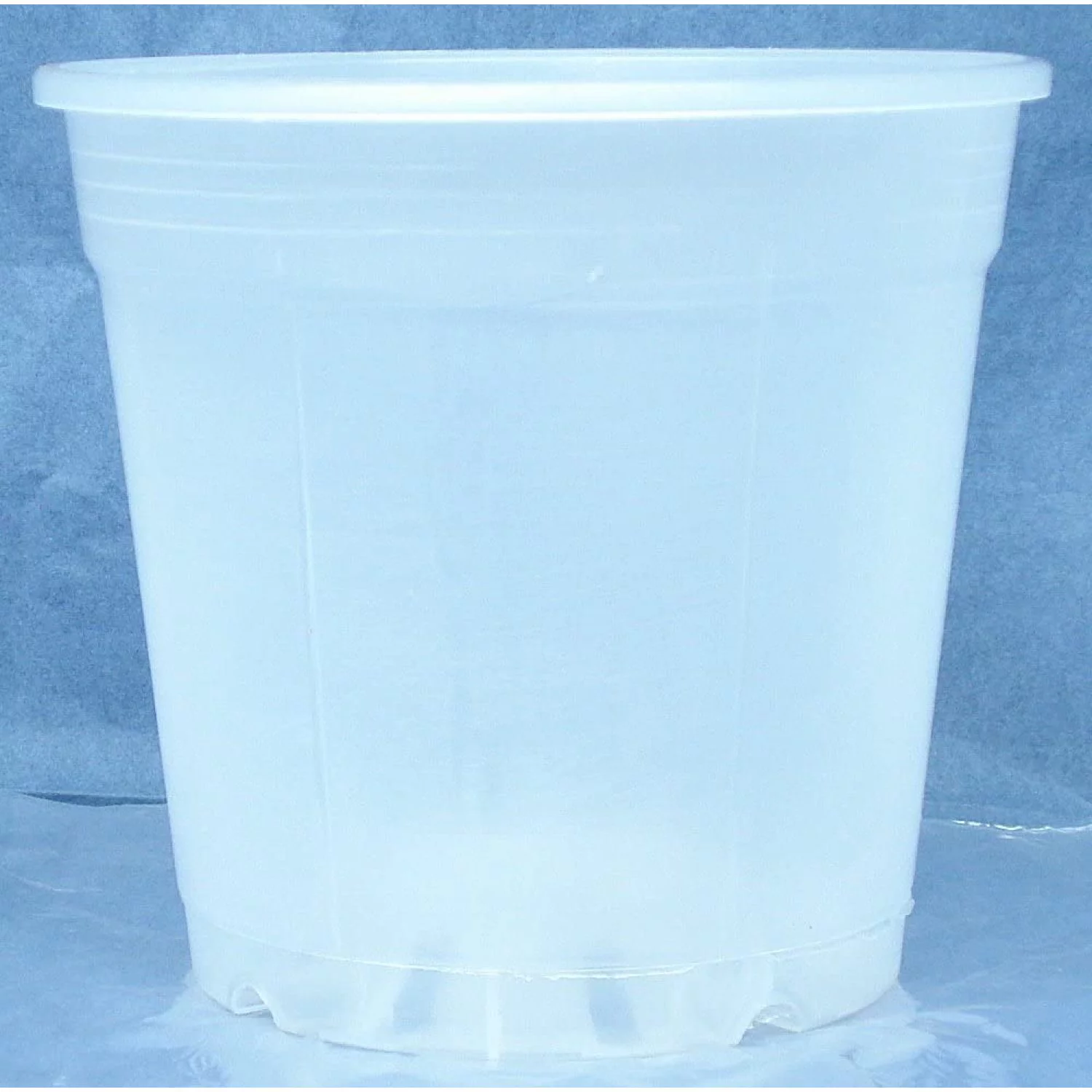 Clear Plastic Pot for Orchids 6 inch Diameter - Quantity 6