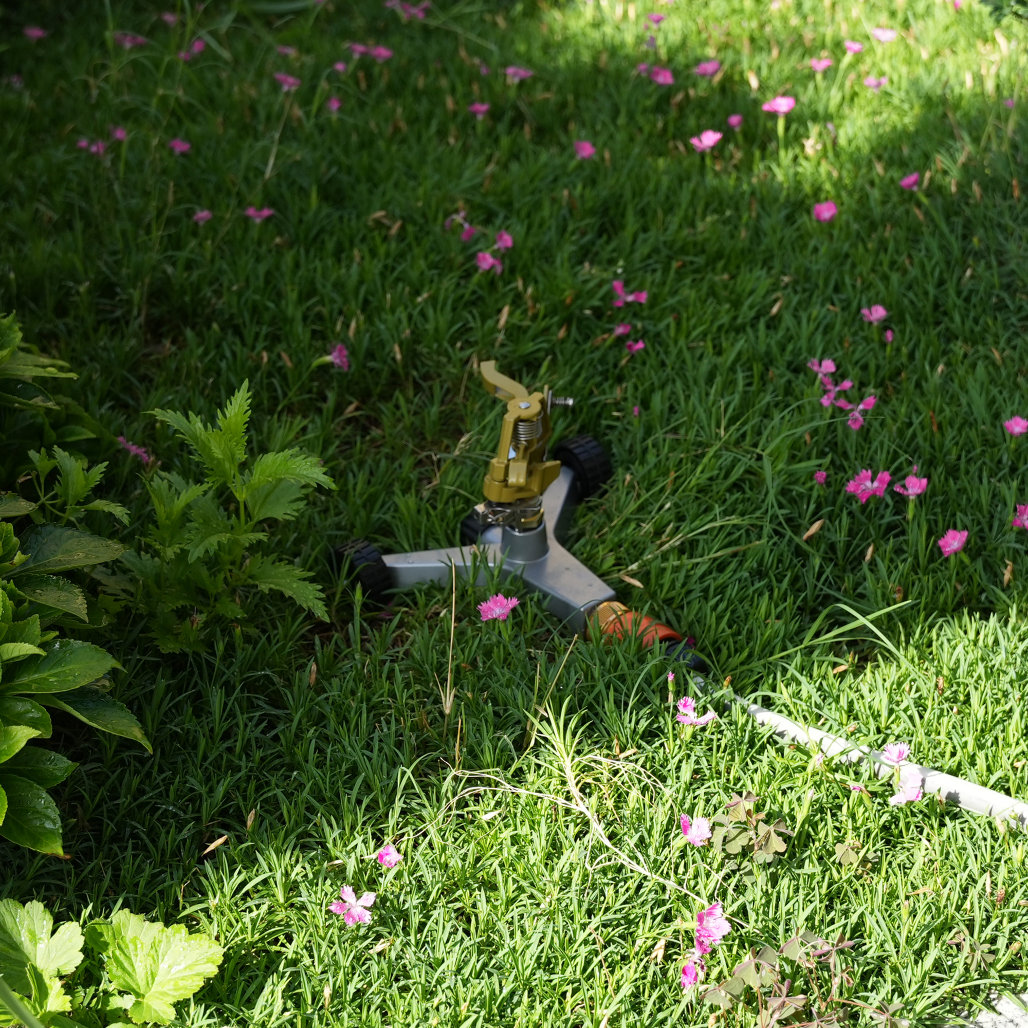 Strongway Metal Impact Sprinkler on Wheeled Base, 85ft. Dia. Coverage, 3/4in. Connection, Model# 202508011001