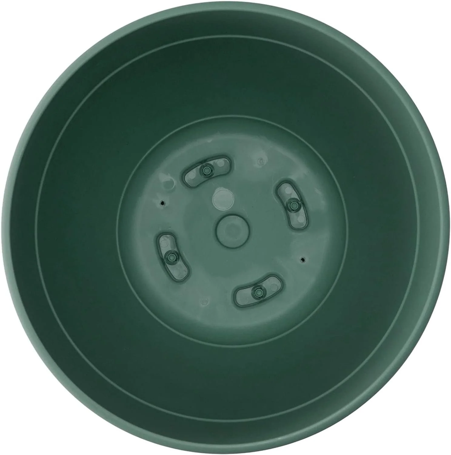 Planter with Saucer: 12