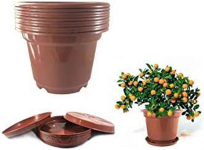 8 Sets / 0.5 Trade Gallon Diameter 6.02