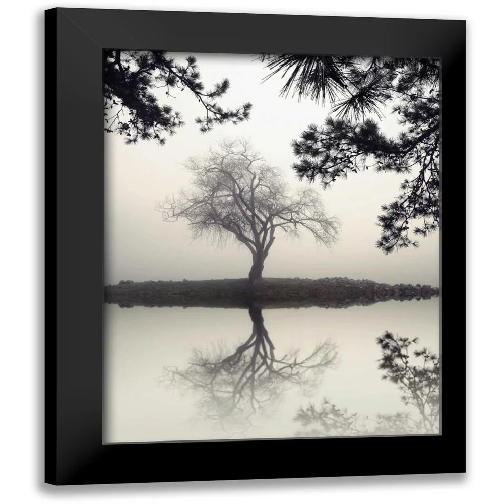 Bell, Nicholas 12x14 Black Modern Framed Museum Art Print Titled - Winter Willow