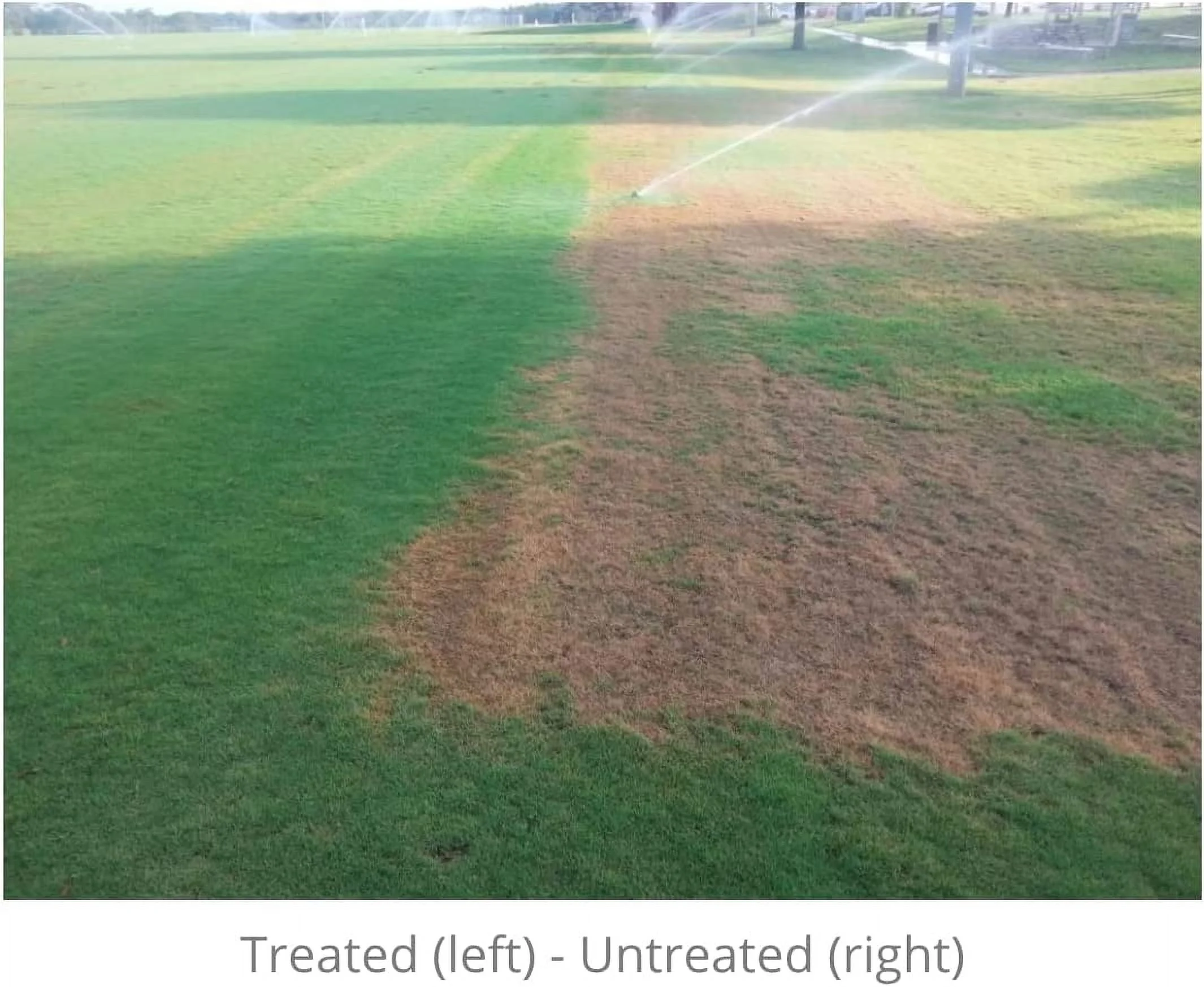 Hydretain Root Zone Moisture Manager 2 Quarts with HoseEnd Sprayer