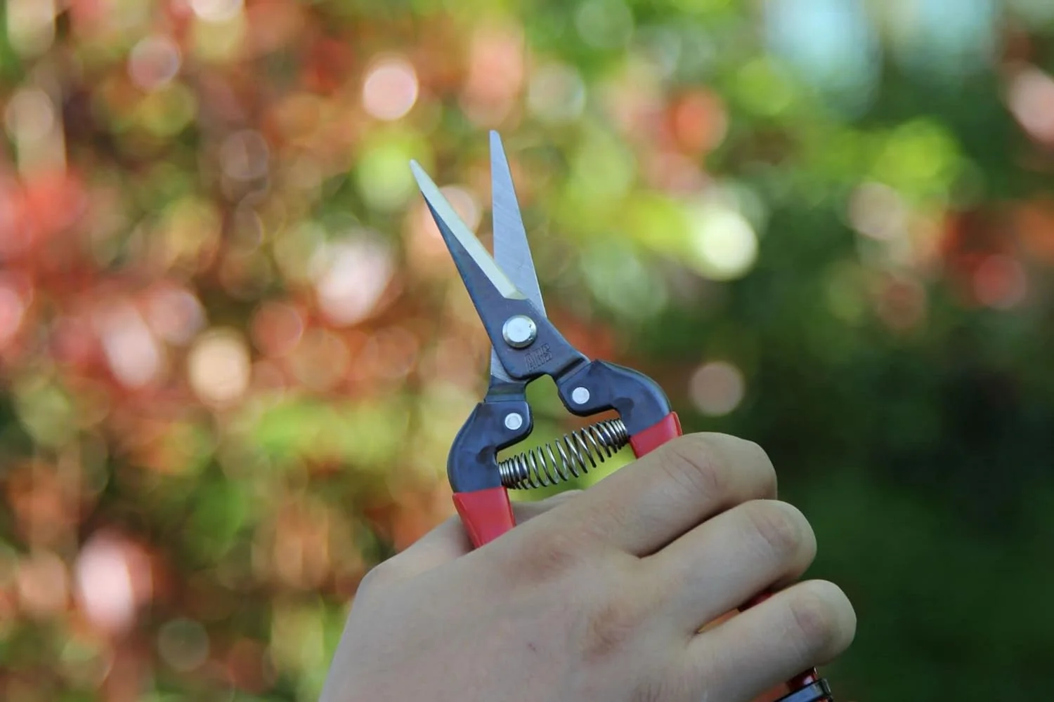 ARS HP-300L Needle Nose Fruit Pruners