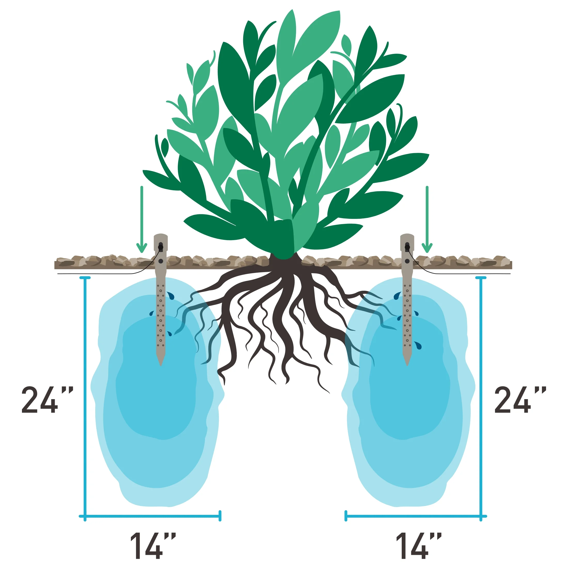 Green King Deep Drip Watering Stake Brown 14 In
