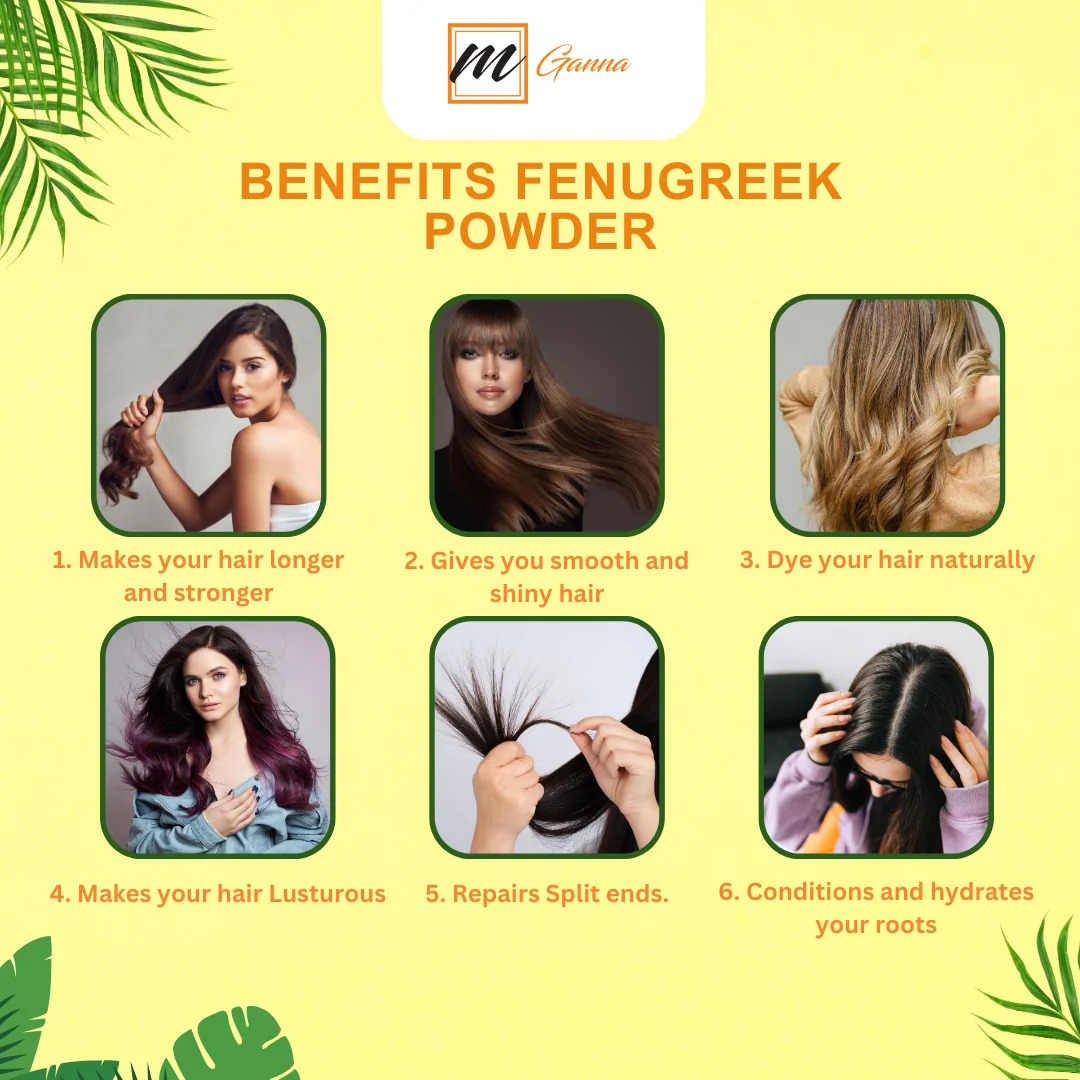 mGanna 100% Natural Fenugreek/Trigonella Foenum Graecum Seed Powder for Strong Healthy Body, Smooth Skin and Silky Shiny Hair 0.5 LBS / 227 GMS