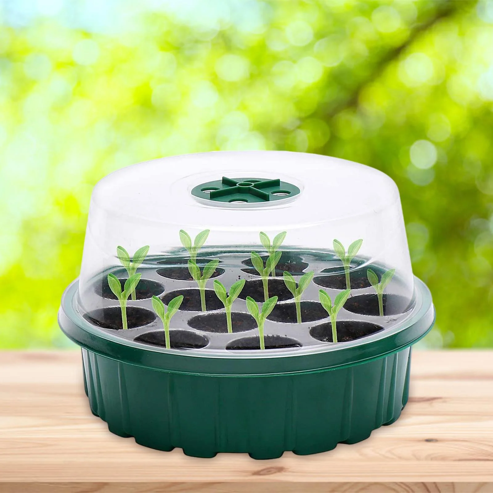 oshhnii 13 Cells Seedling Starting Tray Growing Tray Watertight Base house