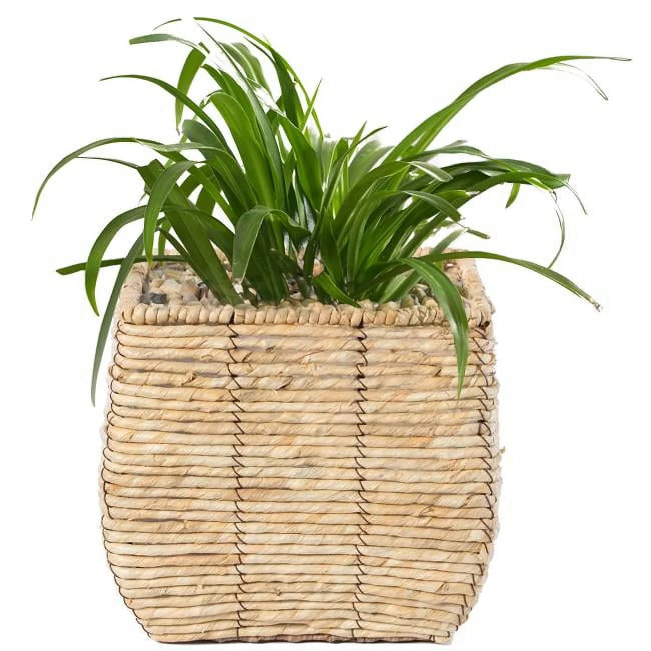 Woven Square Flower Pot Planter with Leak-Proof Plastic Lining - Medium
