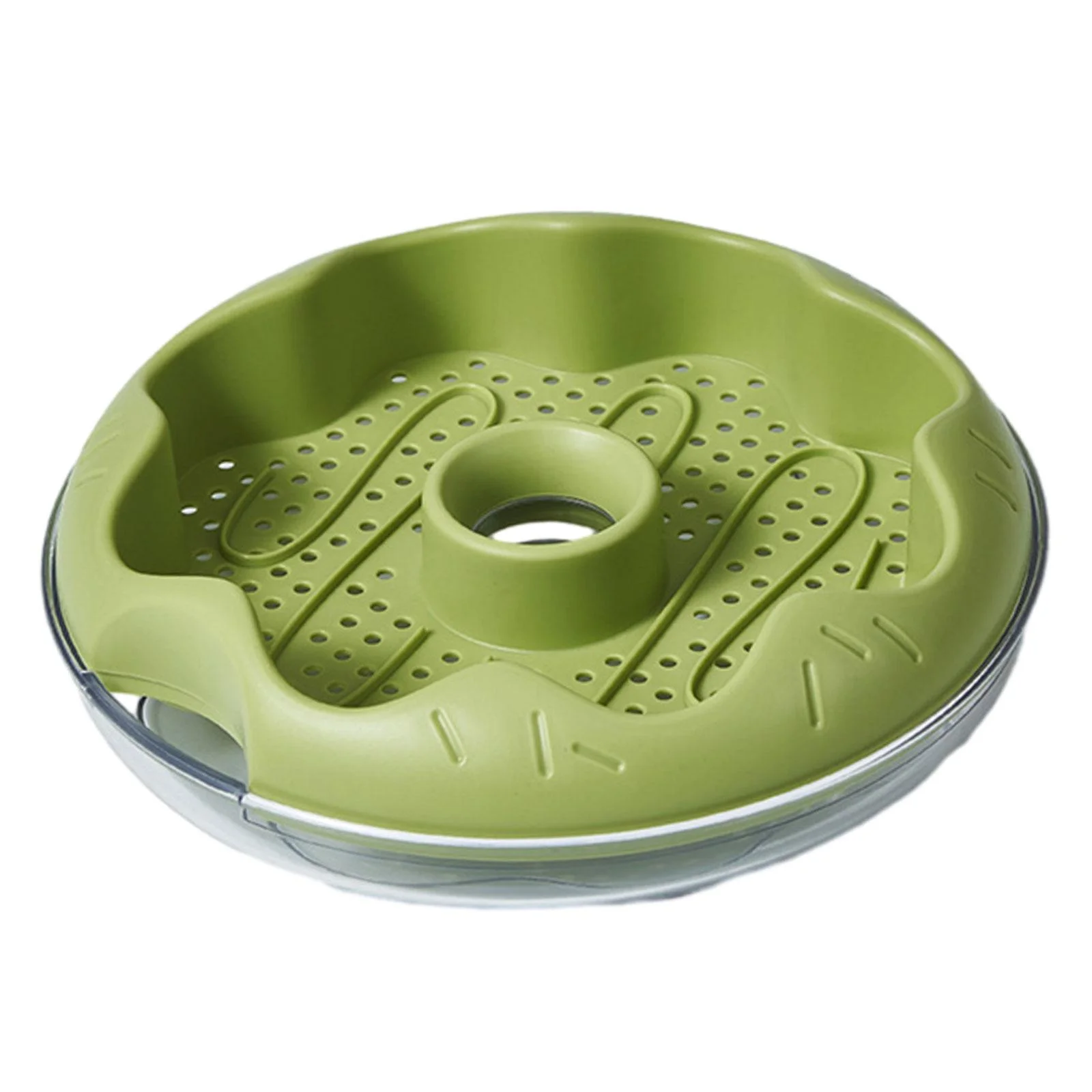 oshhnii Grass , Planting Tray, Germination Tray, Grass Sprouting Tray, Cat Snack Green