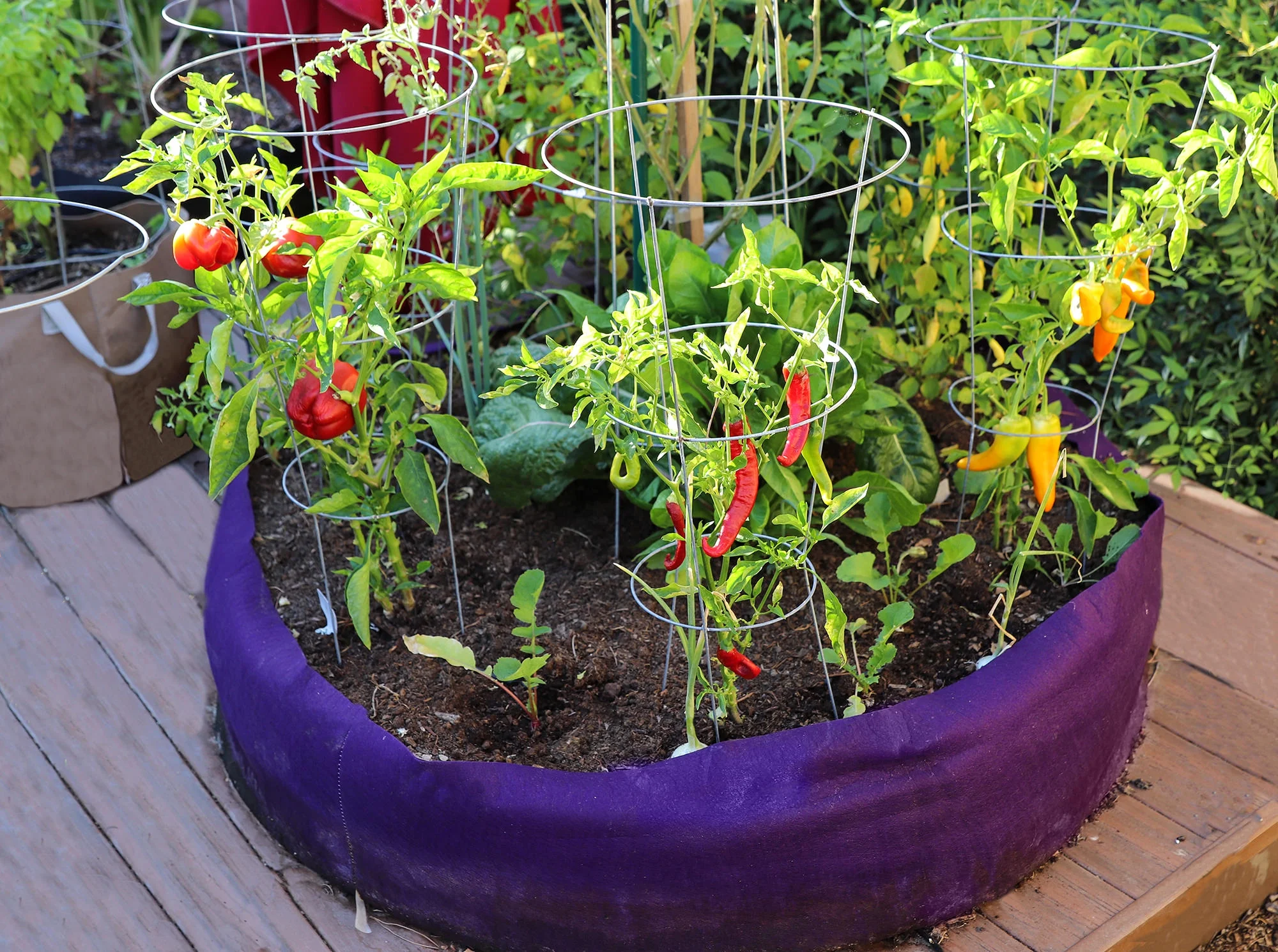 SMART POT Round Raised Bed Original (50 in) - Purple