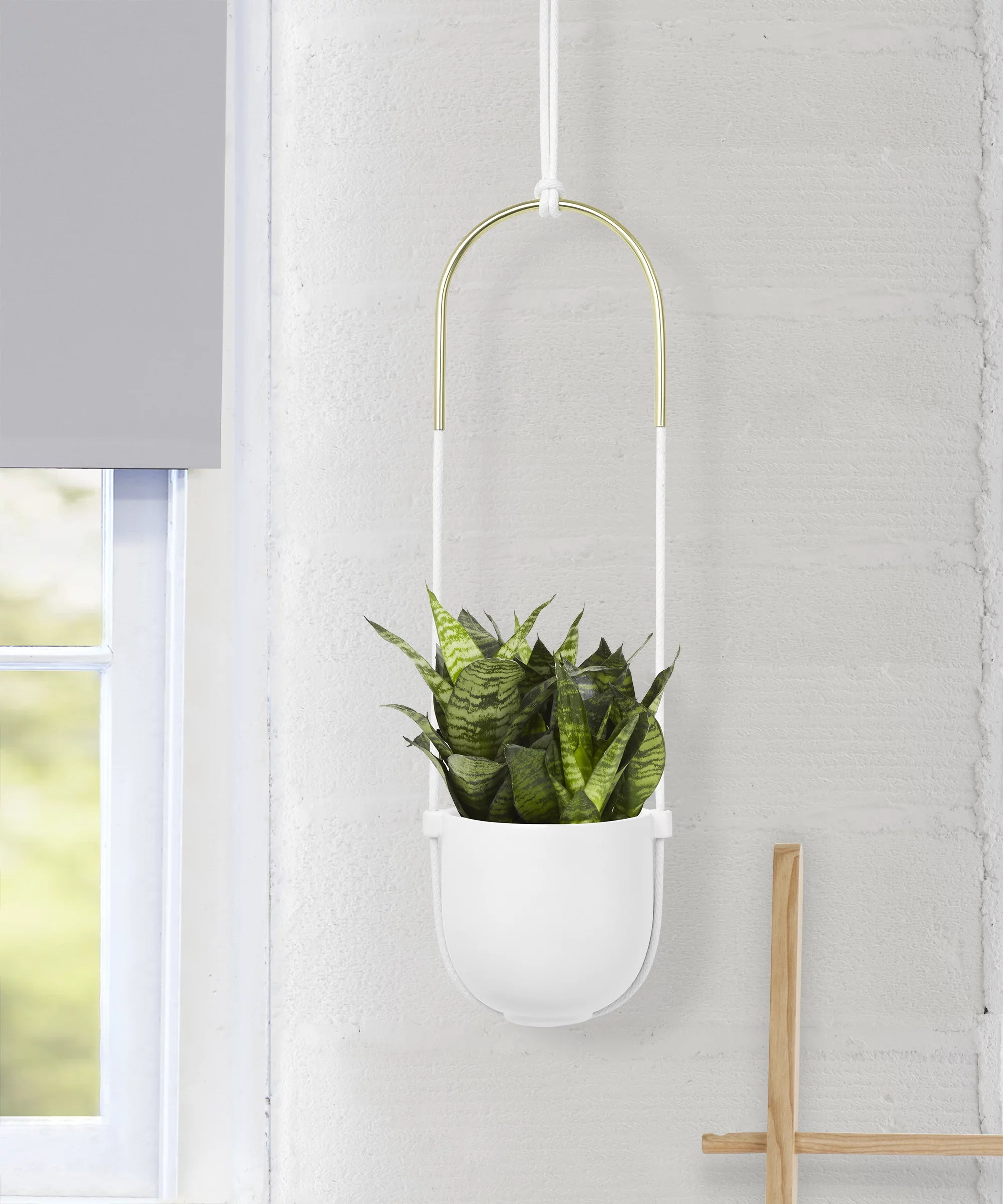 Umbra Bolo Ceramic Hanging Wall Planter White