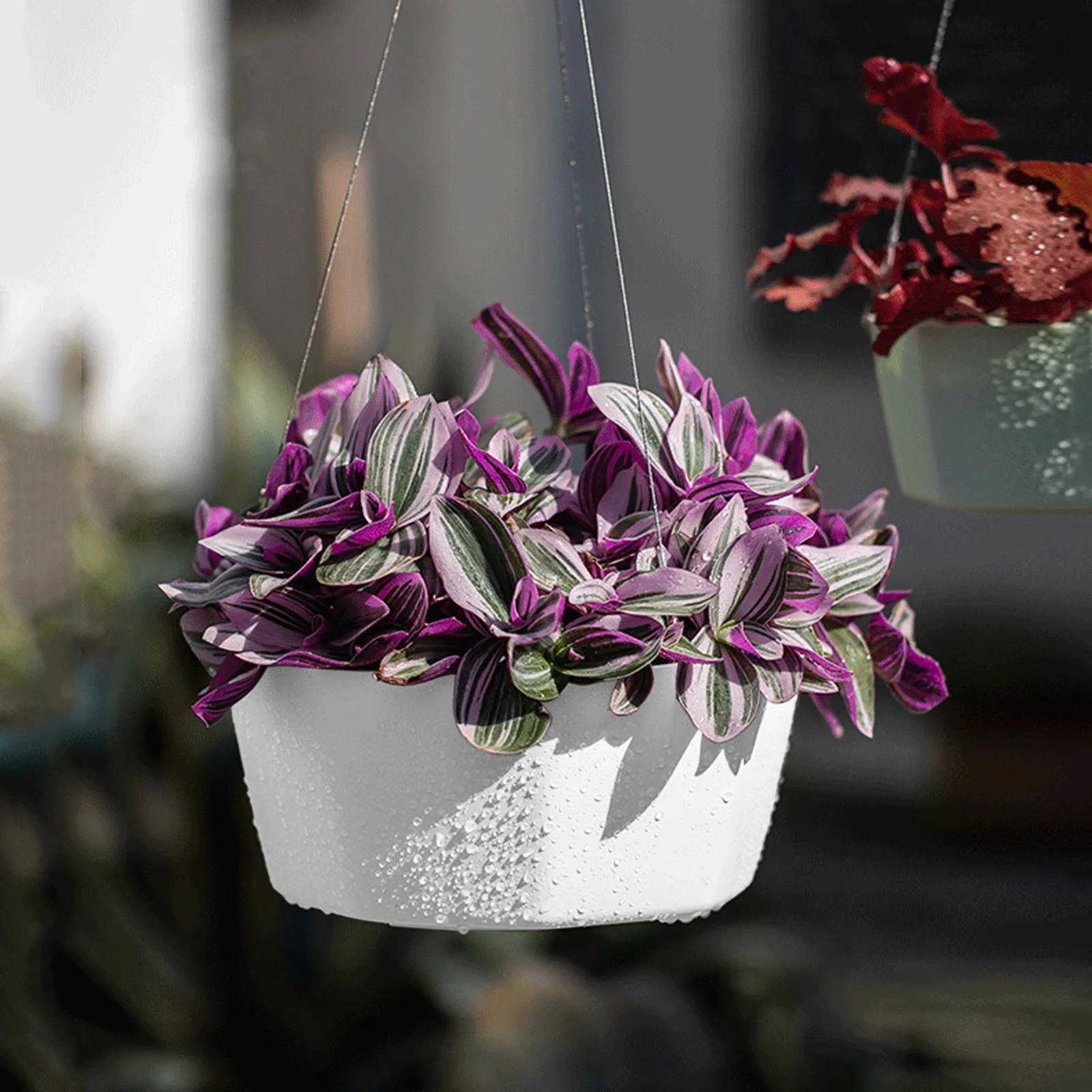 LLQkigsxse Indoor Flower with Saucer Large Self Absorbent Lazy Pot Hanging Basket Phalaenopsis Green And Succulent Garden Orchid Wall Hanging Pot 80Th Birthday Gifts For Men