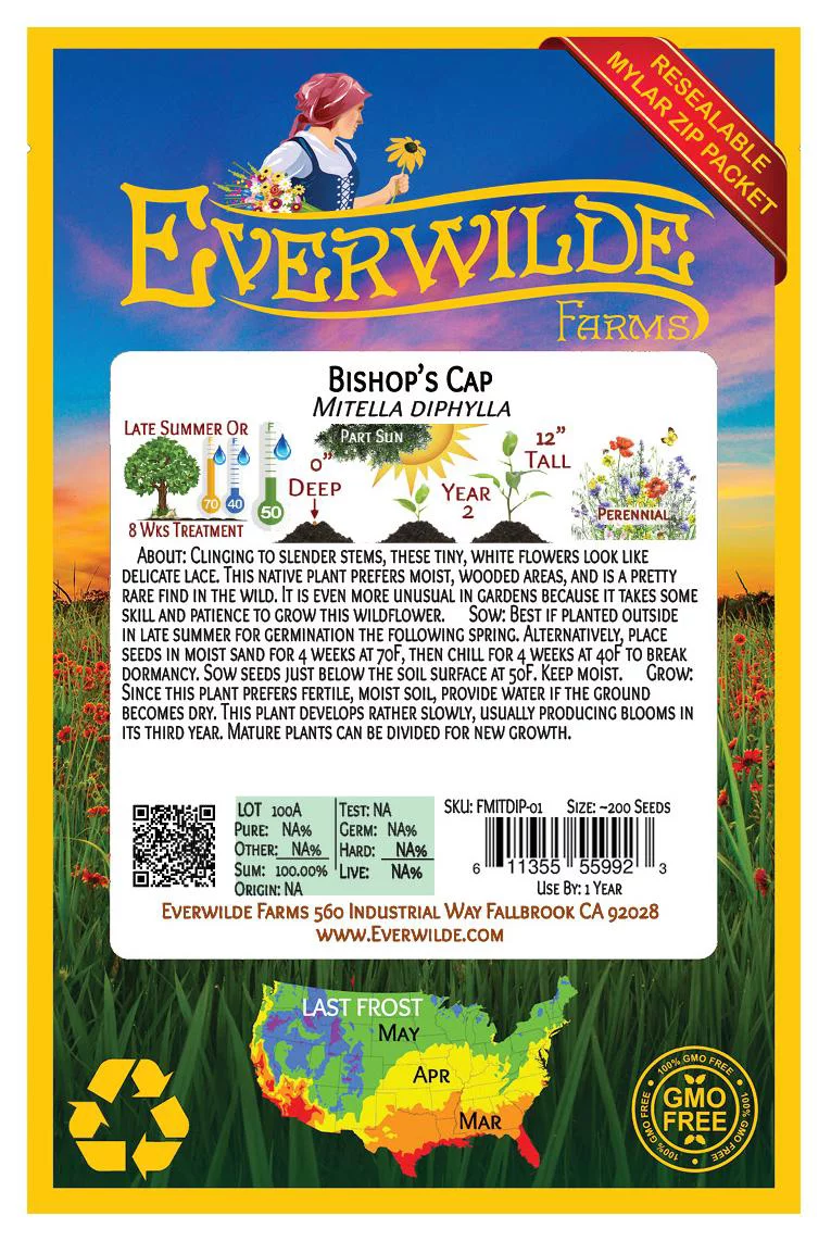 Everwilde Farms - 100 Bishops Cap Native Wildflower Seeds - Gold Vault Jumbo Bulk Seed Packet