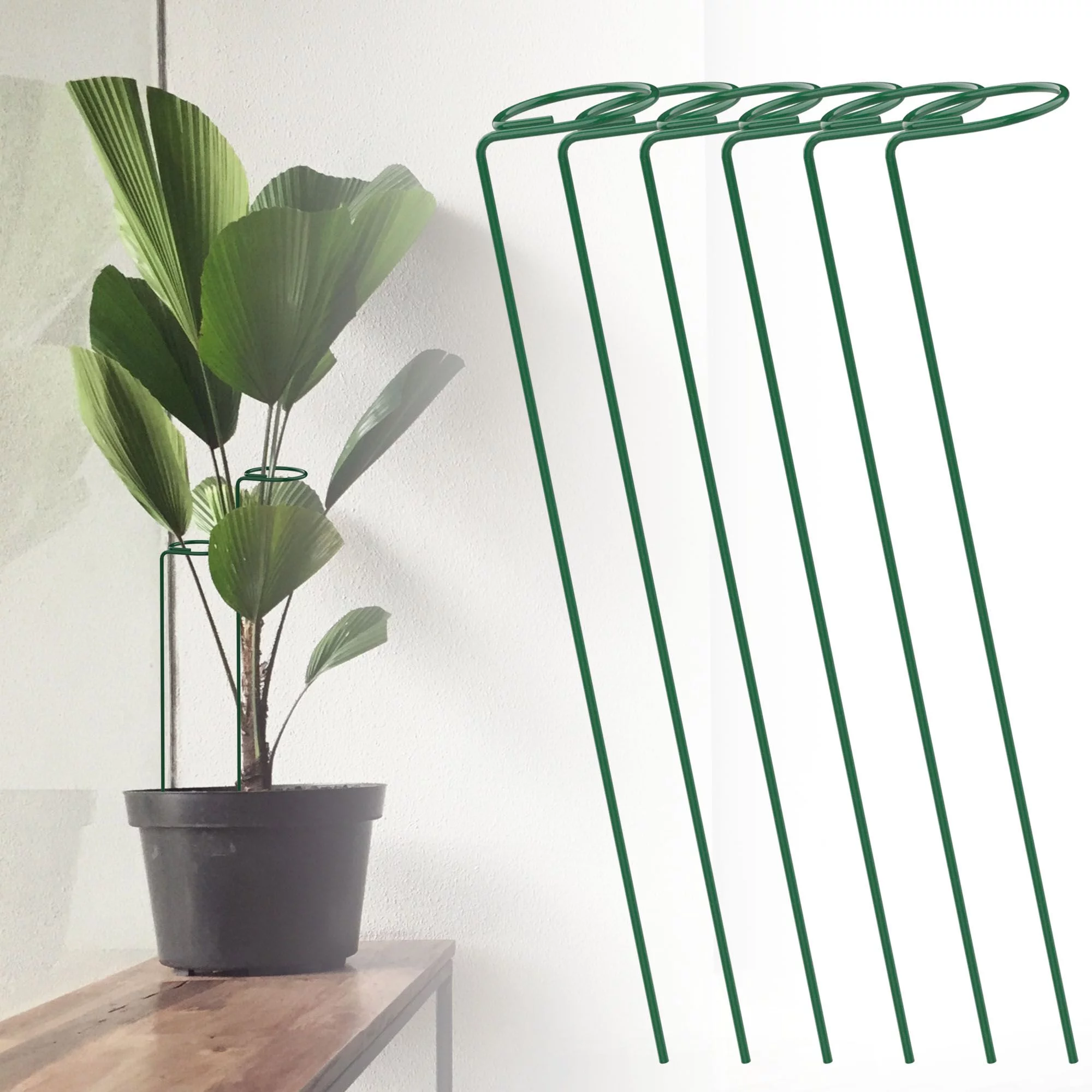 Spencer 6PCS Garden Stake Plant Support Stakes Metal Climbing Plant Tie Holder Tools 16 Inch Height for Most Single-Stem Flowers and Plants