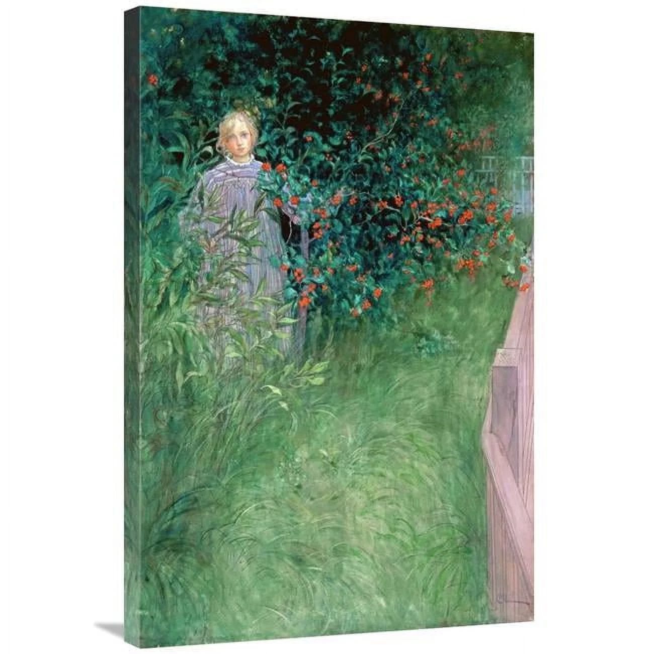 36 in. in the Hawthorn Hedge Art Print - Carl Larsson