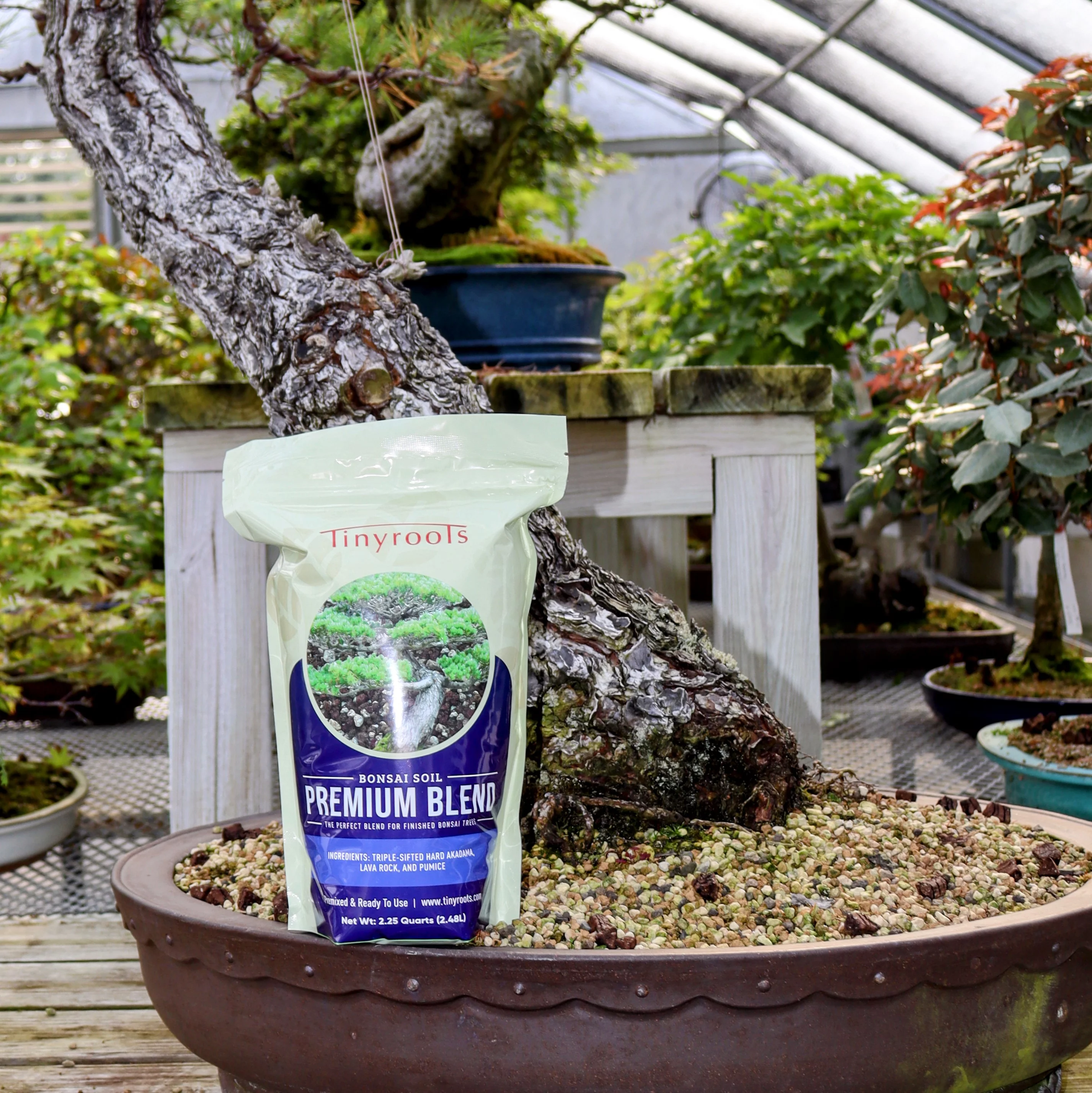 Tinyroots Premium Blend Bonsai Soil, 2.25 Quart Bag