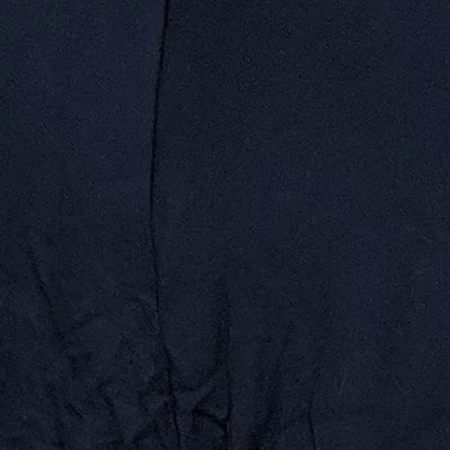 Chinese Eggplant Seeds USA Long Purple Eggplants Aubergine Asian | Garden Seeds