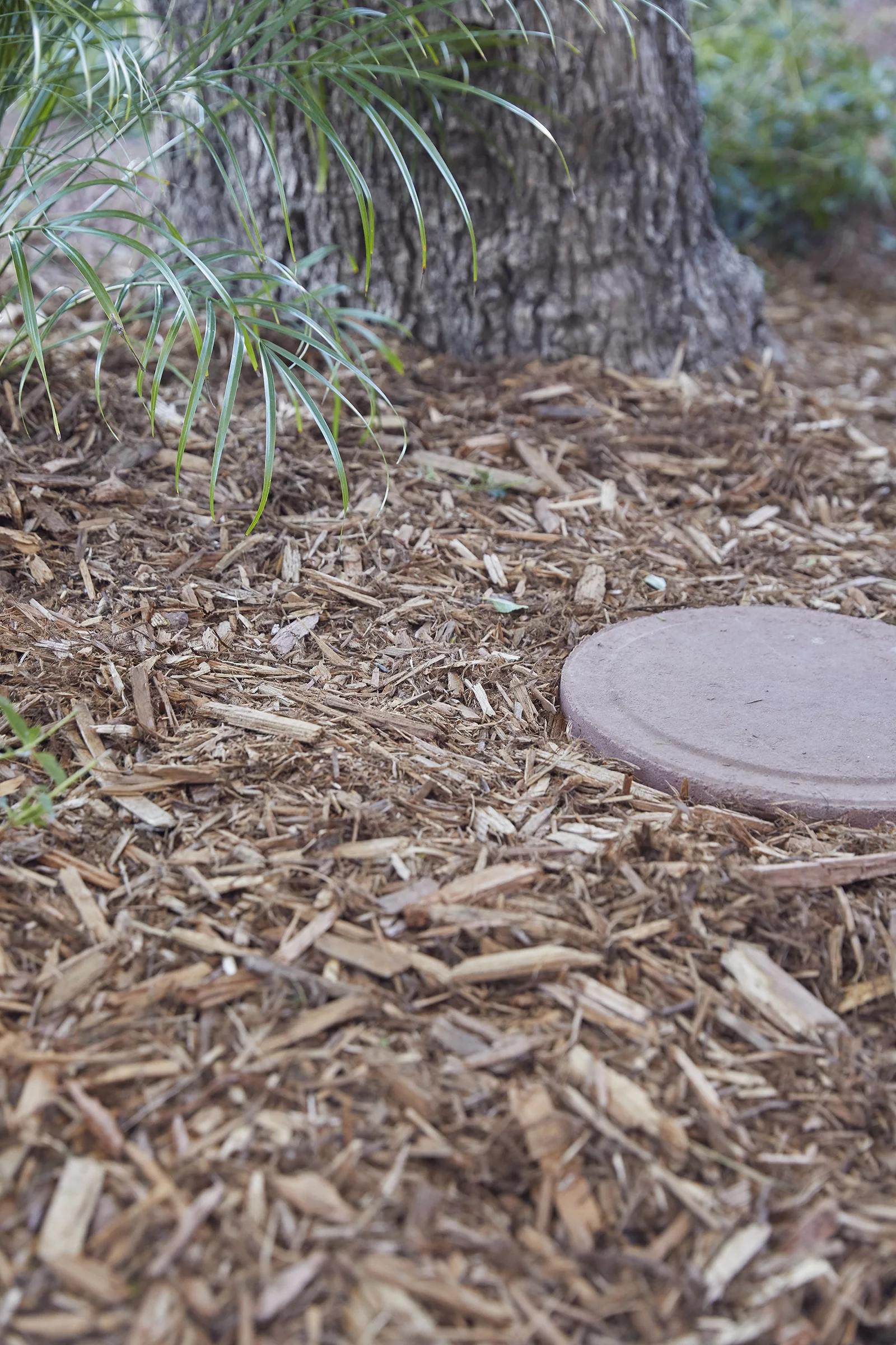 2CF American Countryside Brown Cypress Blend Mulch