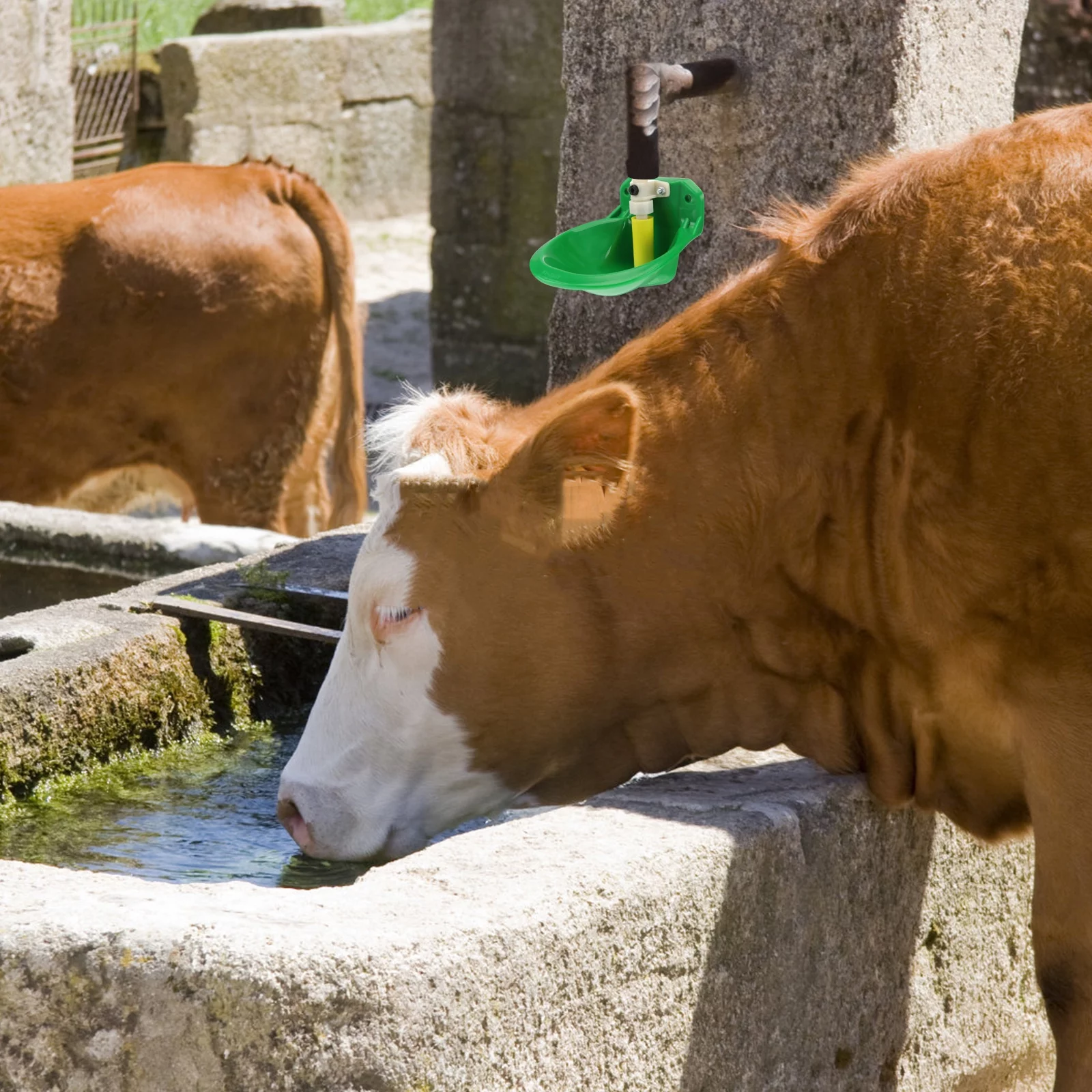 Guichaokj 1Pc Sheep Drinking Bowl Animal Waterbowl Automatic Water Fountain (Green)