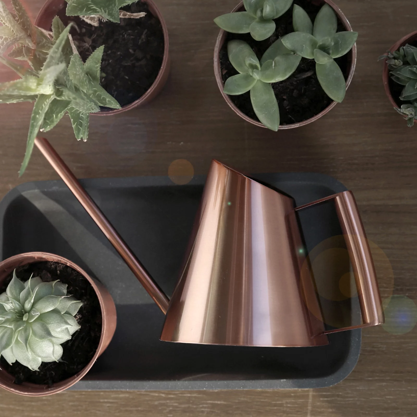 Watering Can, Bronze Stainless Steel Watering Pot with Long Spout Household Garden Plant Flower Long Mouth Sprinkling Pot(M)