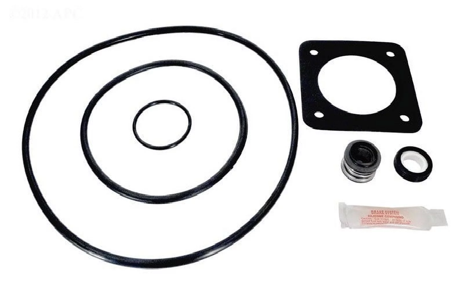 Puri Tech Sta-Rite Dura-Glas 1HP P2RA5E-181L Replacement Motor Kit AO Smith USQ1102 with GO-KIT-54