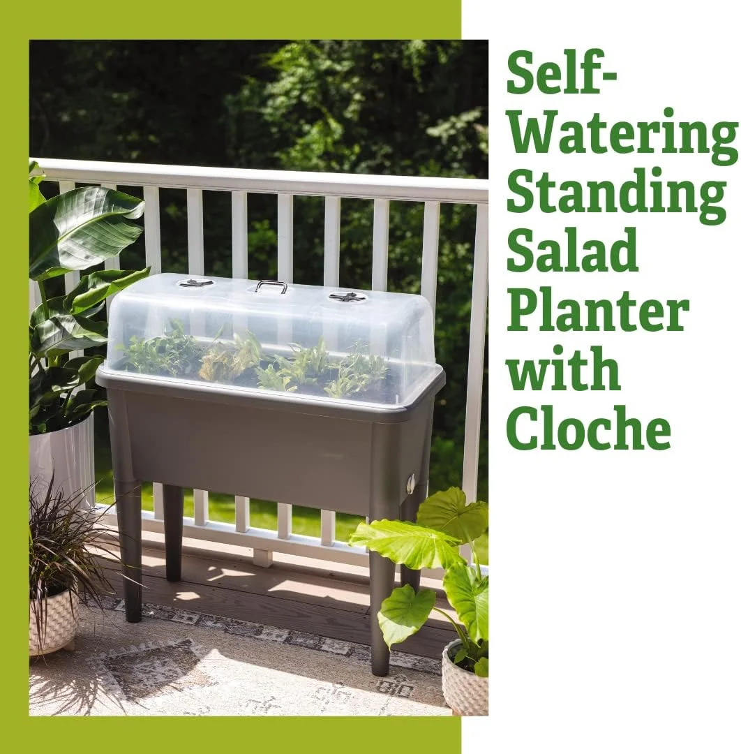 Self-Watering Standing Salad Planter with Cloche | 30