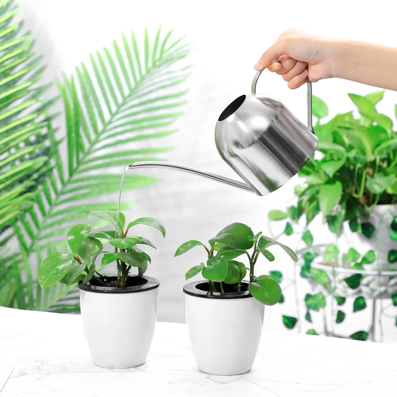 Indoor Plants Water Can Stainless Steel Watering Pot Pitcher Long Mouth Outdoor For Flowers Nutrition & supplies