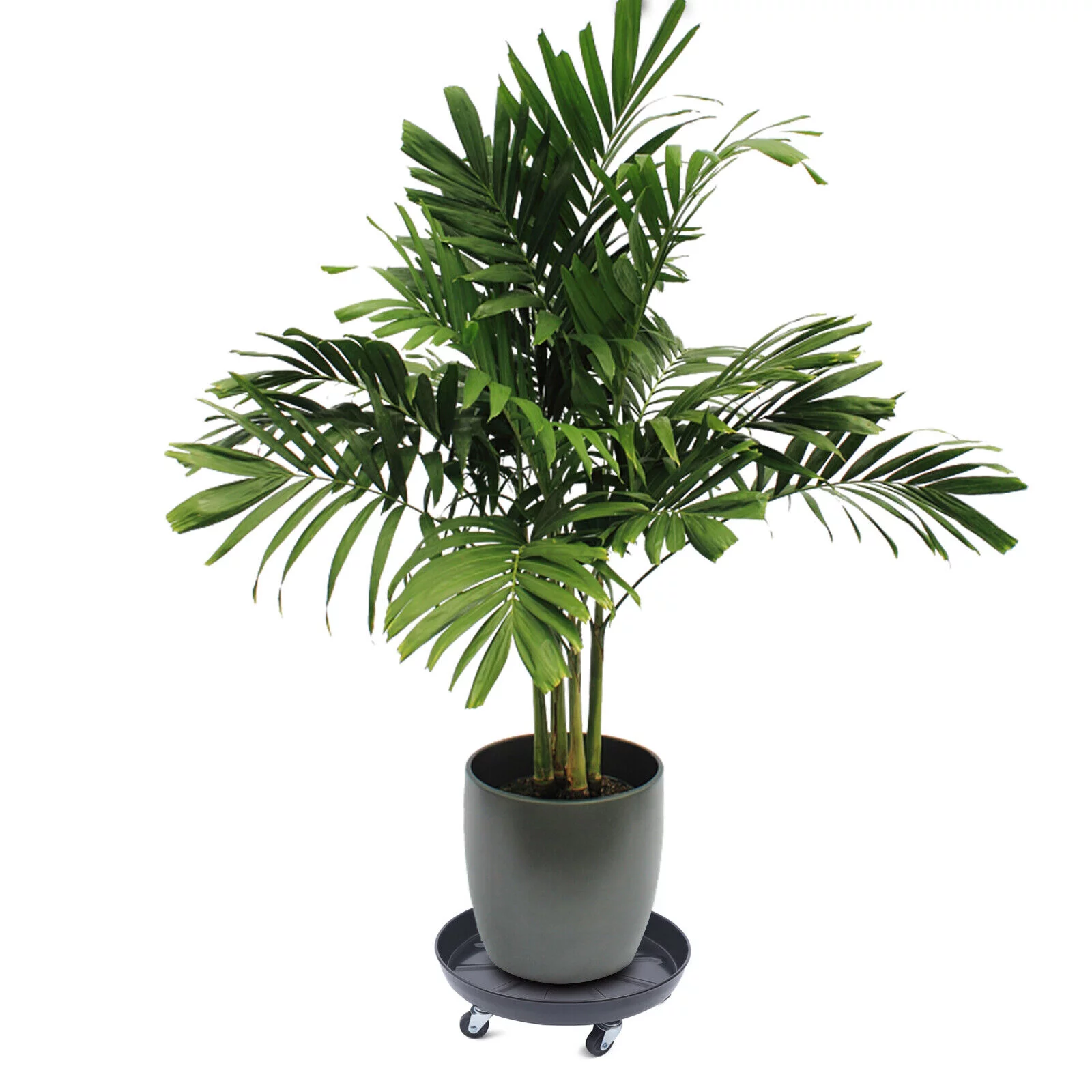 Miumaeov 3Pcs Flower Pot Tray Heavy Duty Plant Dolly Planter Mover Stand Round Plate with Wheels