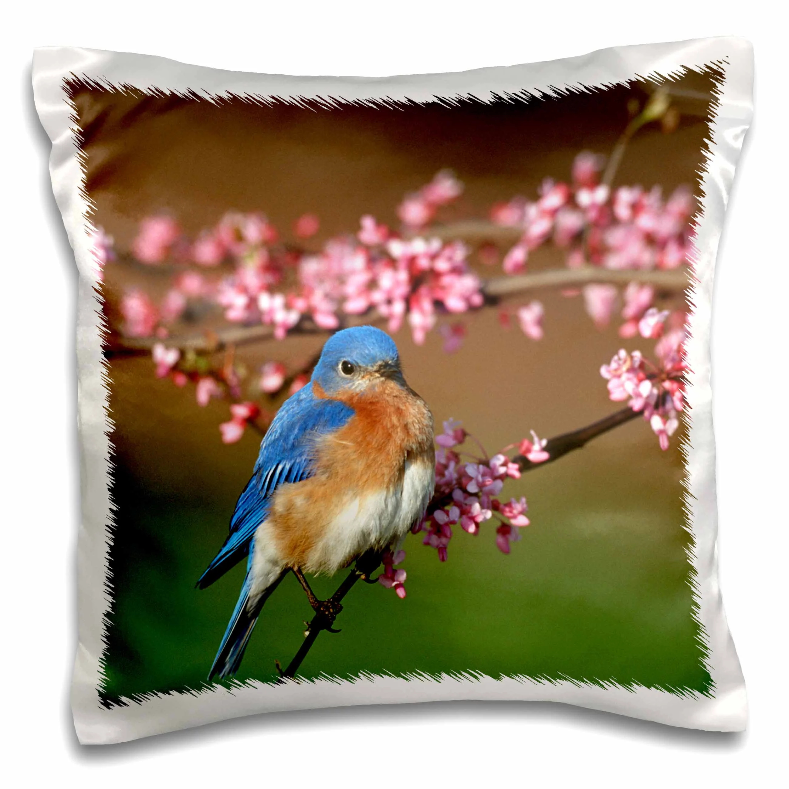 Eastern Bluebird male in Redbud tree in spring Marion County, Illinois 16x16 inch Pillow Case pc-250928-1
